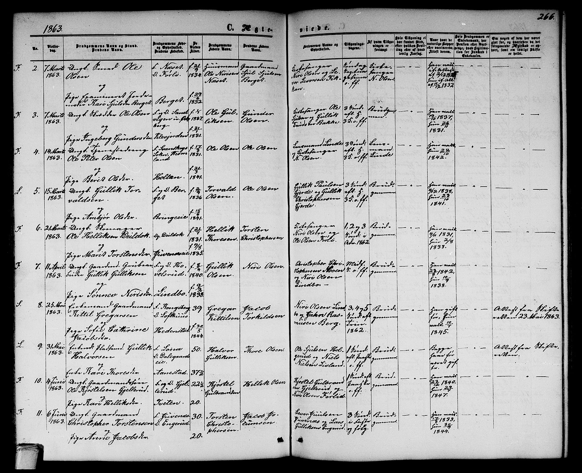 Flesberg kirkebøker, AV/SAKO-A-18/G/Ga/L0003: Parish register (copy) no. I 3, 1861-1889, p. 266