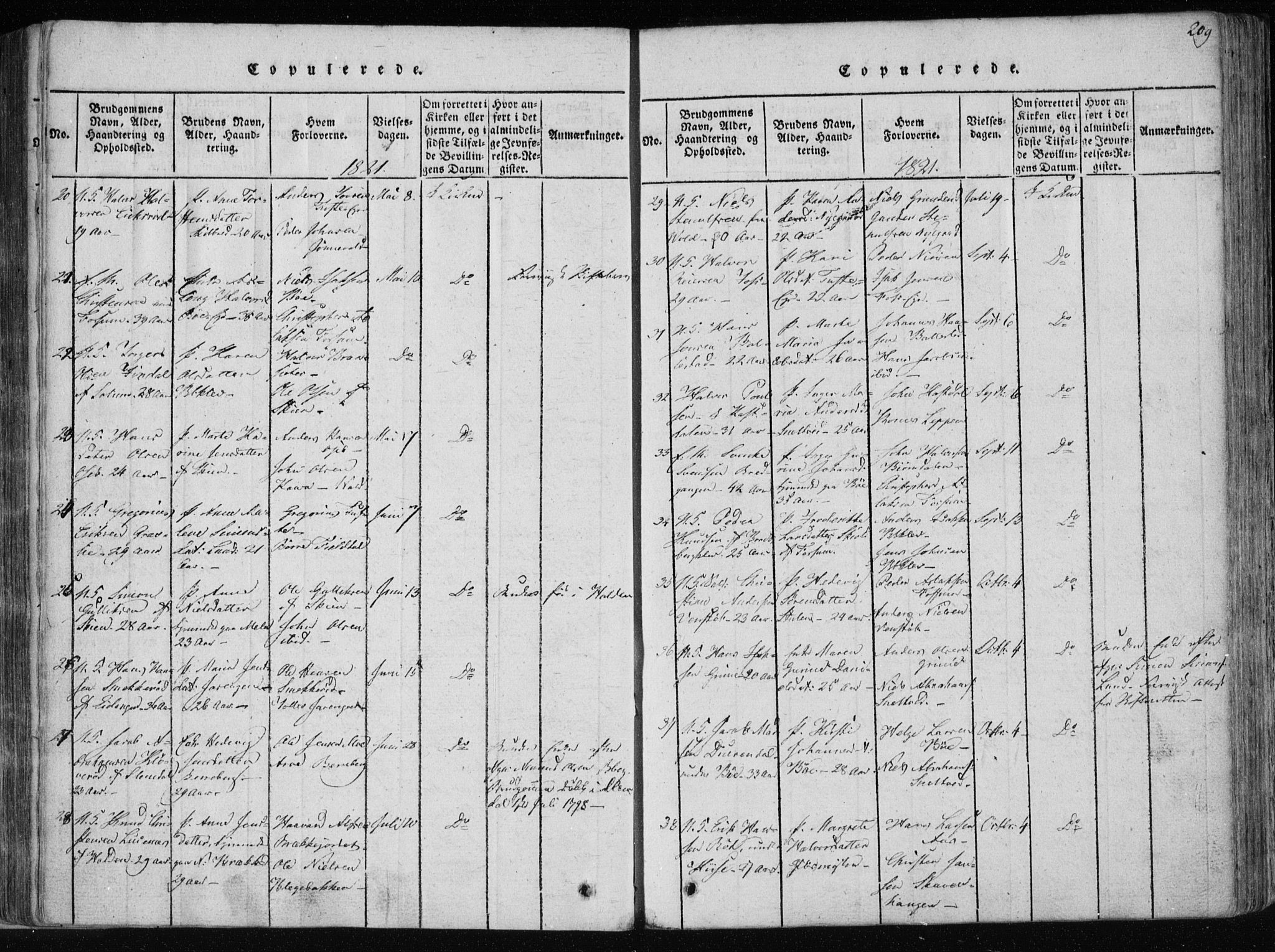 Gjerpen kirkebøker, SAKO/A-265/F/Fa/L0004: Parish register (official) no. I 4, 1814-1823, p. 209