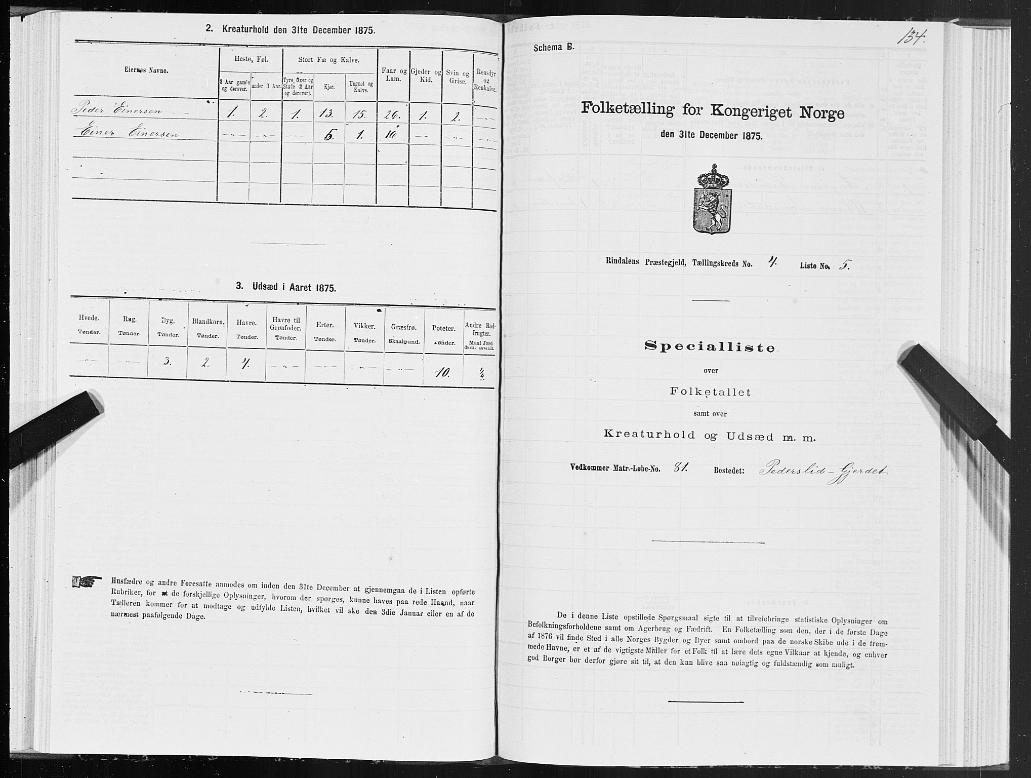 SAT, 1875 census for 1567P Rindal, 1875, p. 2134