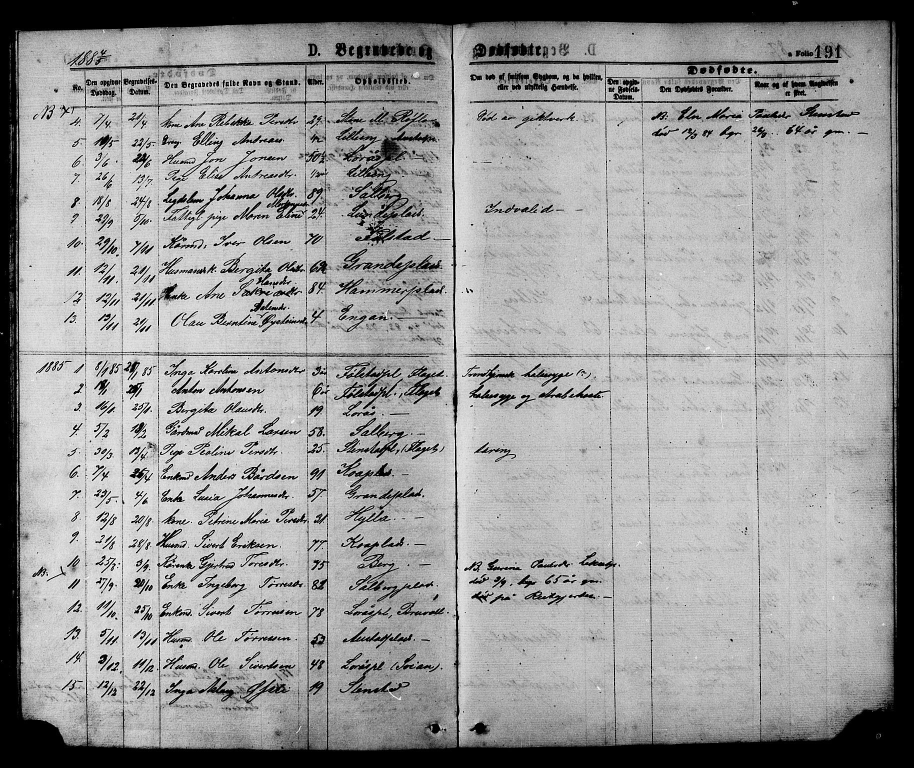 Ministerialprotokoller, klokkerbøker og fødselsregistre - Nord-Trøndelag, SAT/A-1458/731/L0311: Parish register (copy) no. 731C02, 1875-1911, p. 191