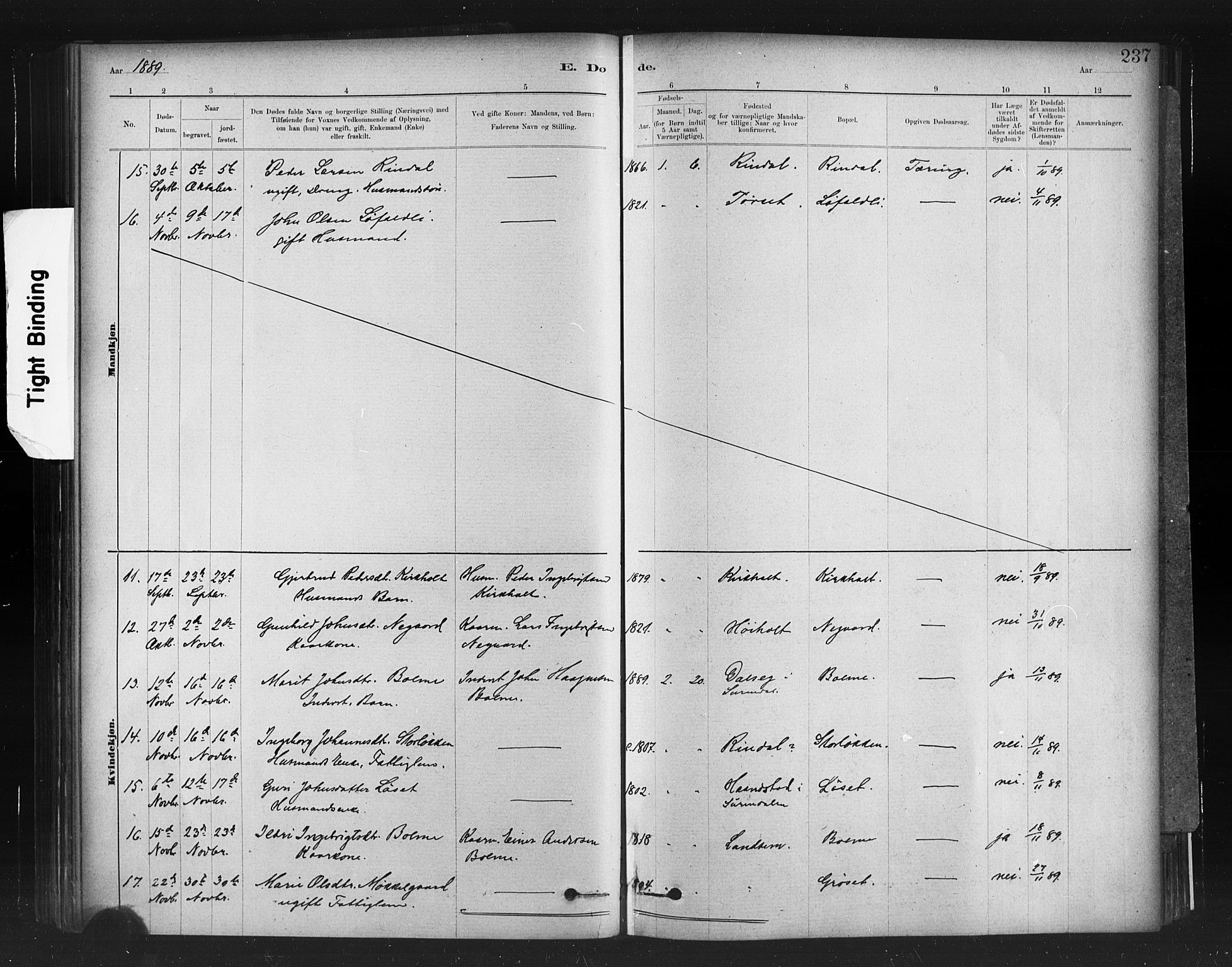 Ministerialprotokoller, klokkerbøker og fødselsregistre - Møre og Romsdal, AV/SAT-A-1454/598/L1069: Parish register (official) no. 598A03, 1882-1895, p. 237