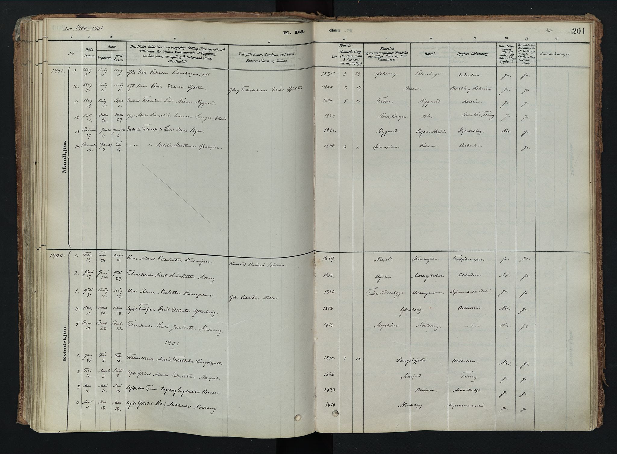 Tolga prestekontor, AV/SAH-PREST-062/K/L0008: Parish register (official) no. 8, 1877-1910, p. 201