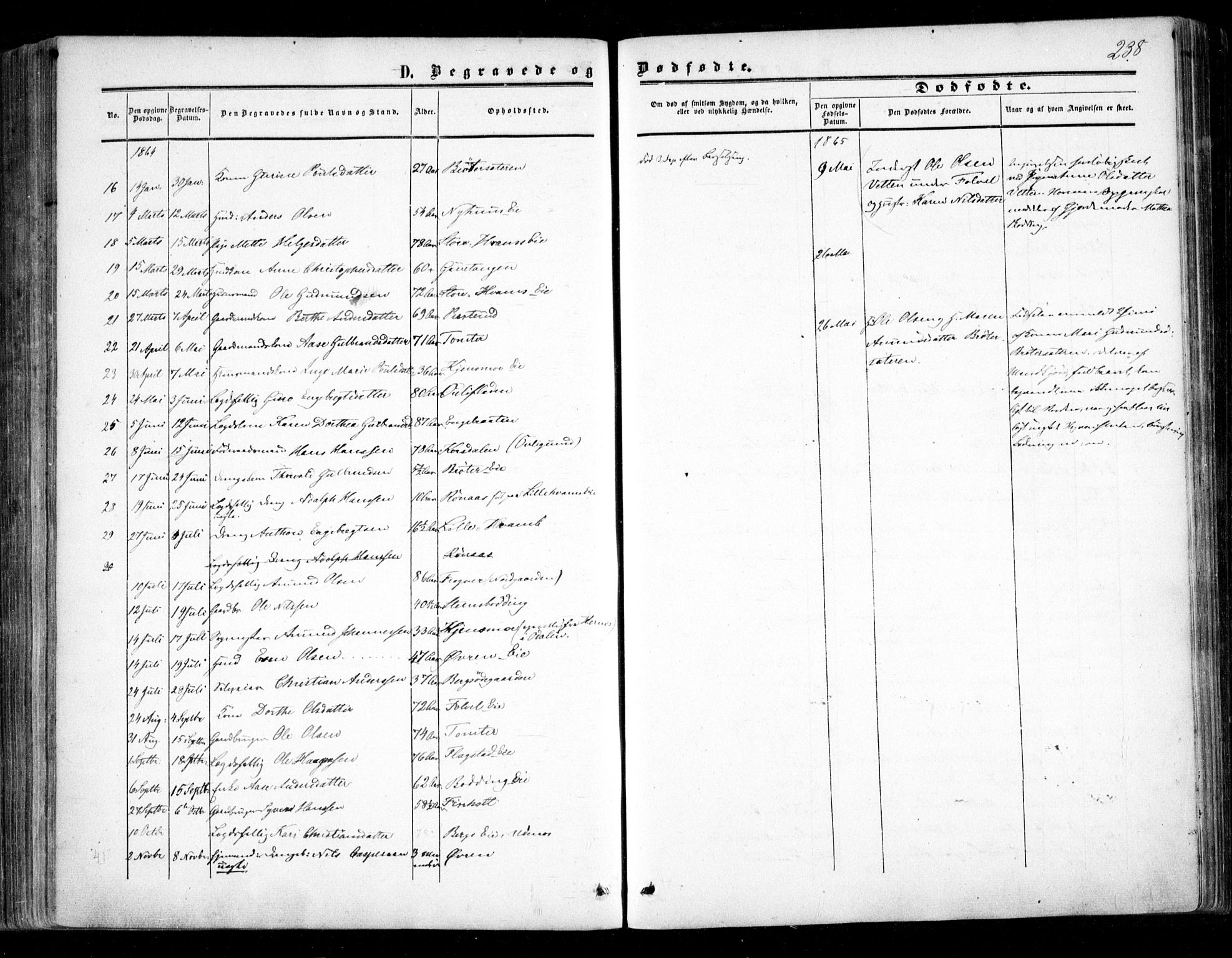 Nes prestekontor Kirkebøker, AV/SAO-A-10410/F/Fc/L0001: Parish register (official) no. III 1, 1859-1882, p. 238