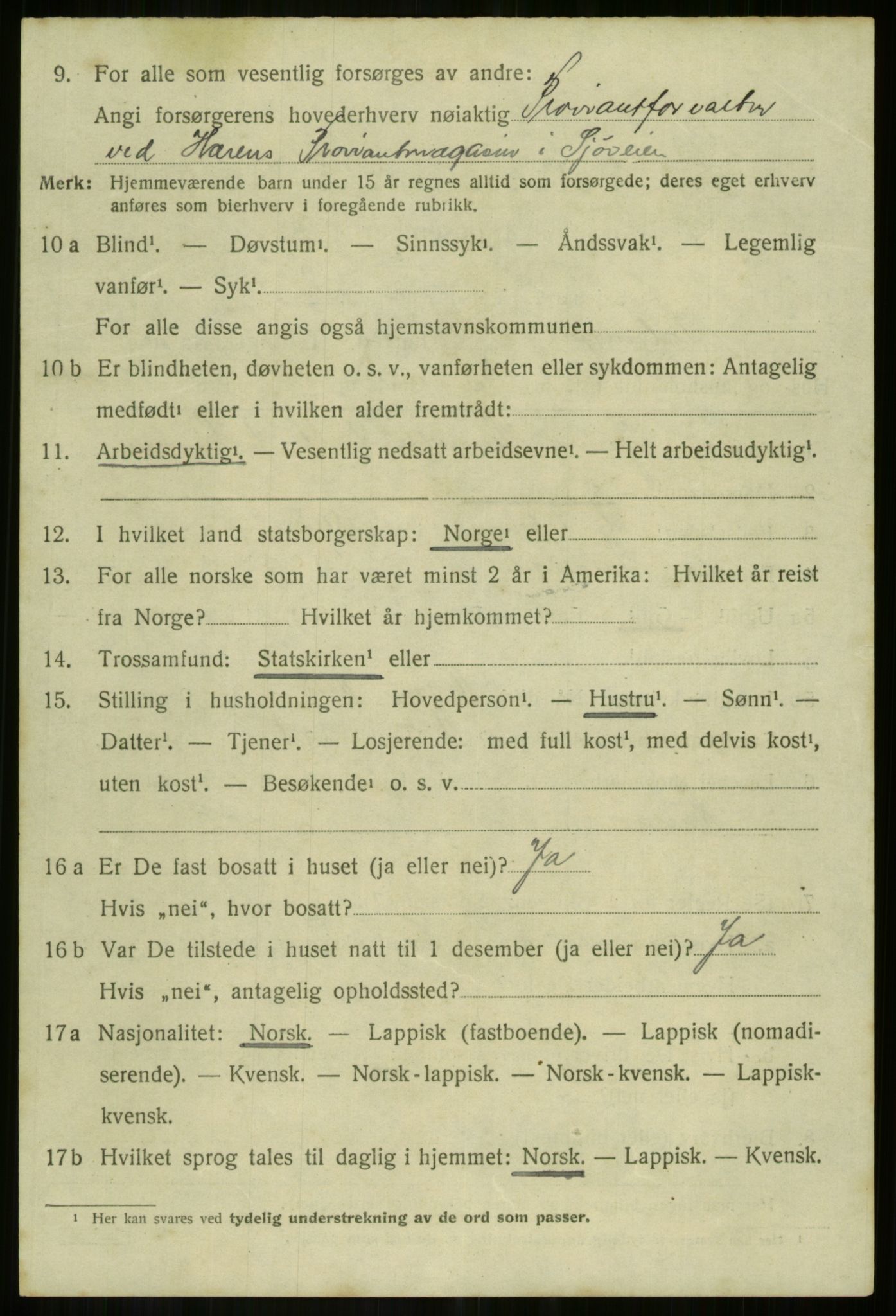 SATØ, 1920 census for Salangen, 1920, p. 3911