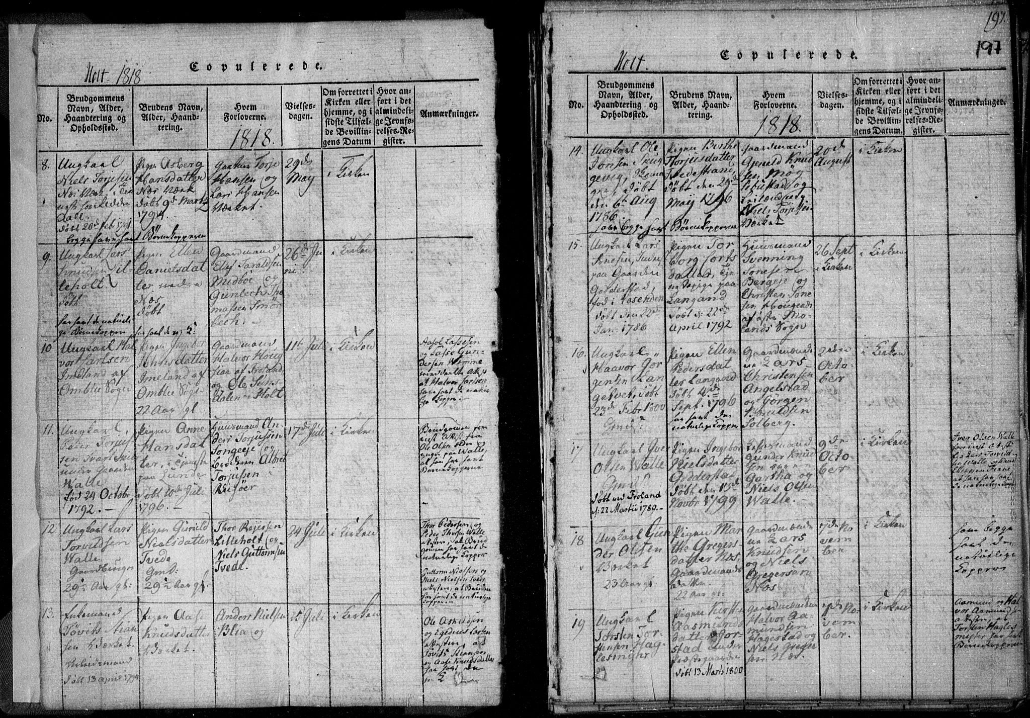 Holt sokneprestkontor, AV/SAK-1111-0021/F/Fa/L0005: Parish register (official) no. A 5, 1813-1821, p. 197