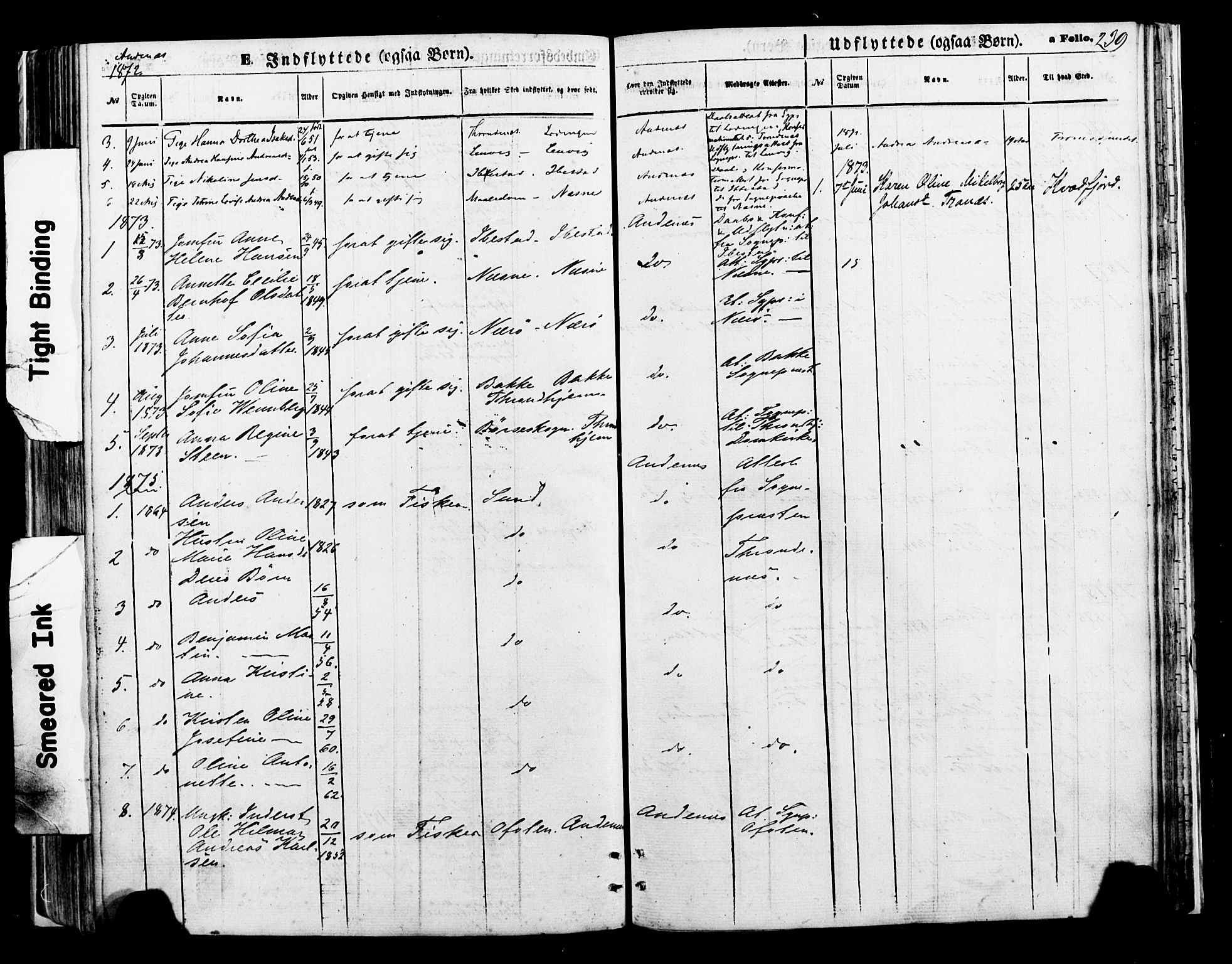 Ministerialprotokoller, klokkerbøker og fødselsregistre - Nordland, AV/SAT-A-1459/897/L1398: Parish register (official) no. 897A05 /2, 1867-1880, p. 239