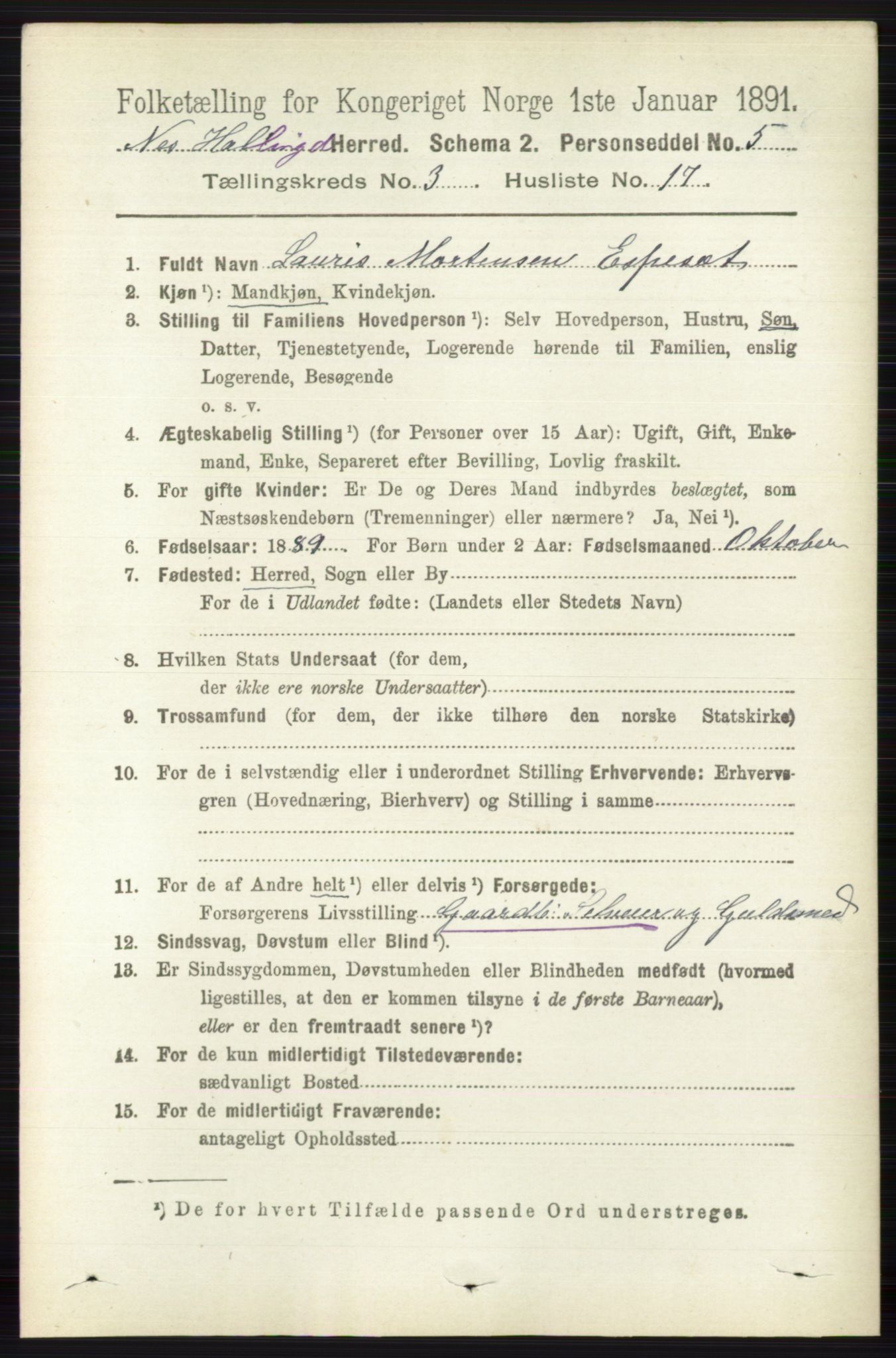 RA, 1891 census for 0616 Nes, 1891, p. 1599