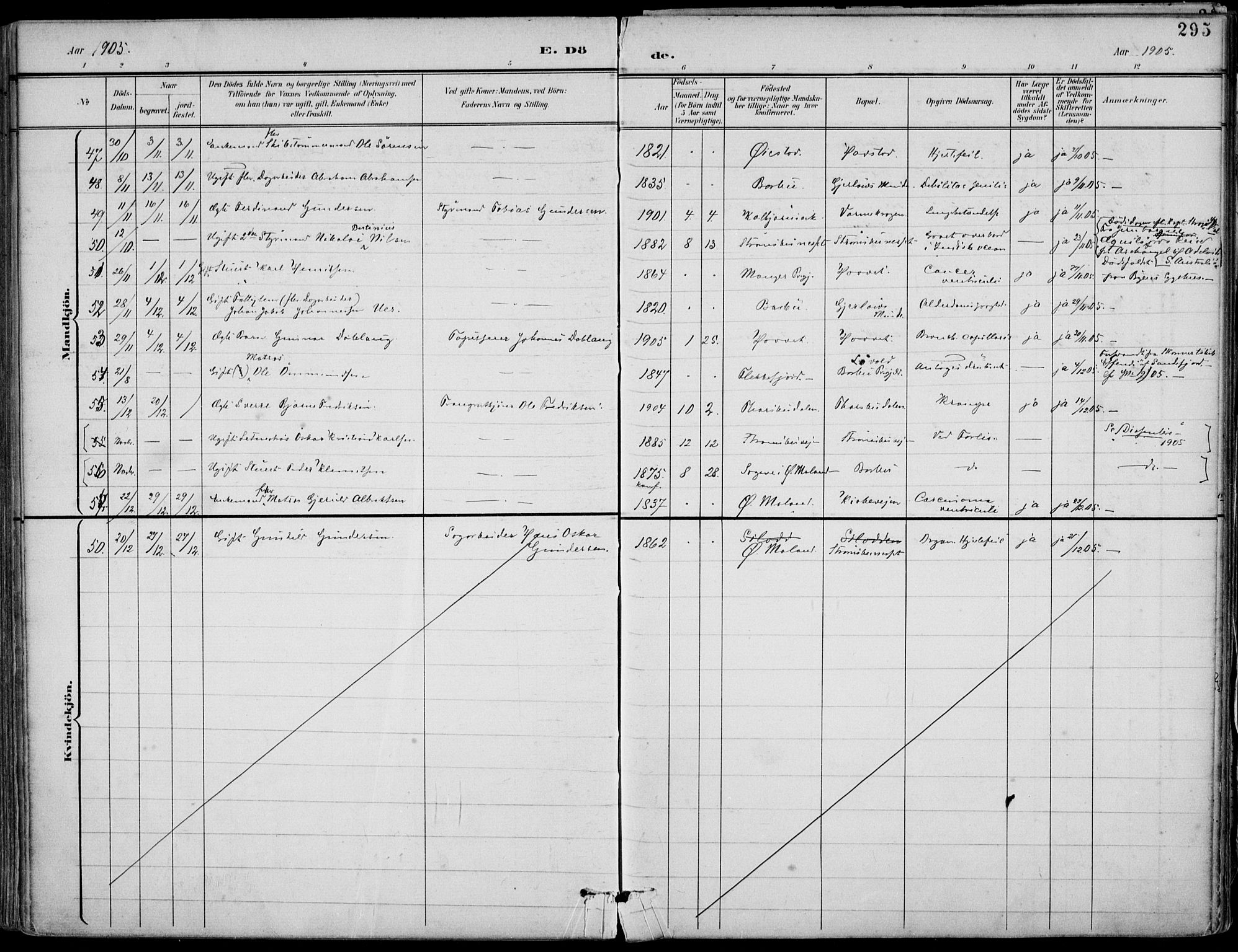 Barbu sokneprestkontor, AV/SAK-1111-0003/F/Fa/L0005: Parish register (official) no. A 5, 1899-1909, p. 295