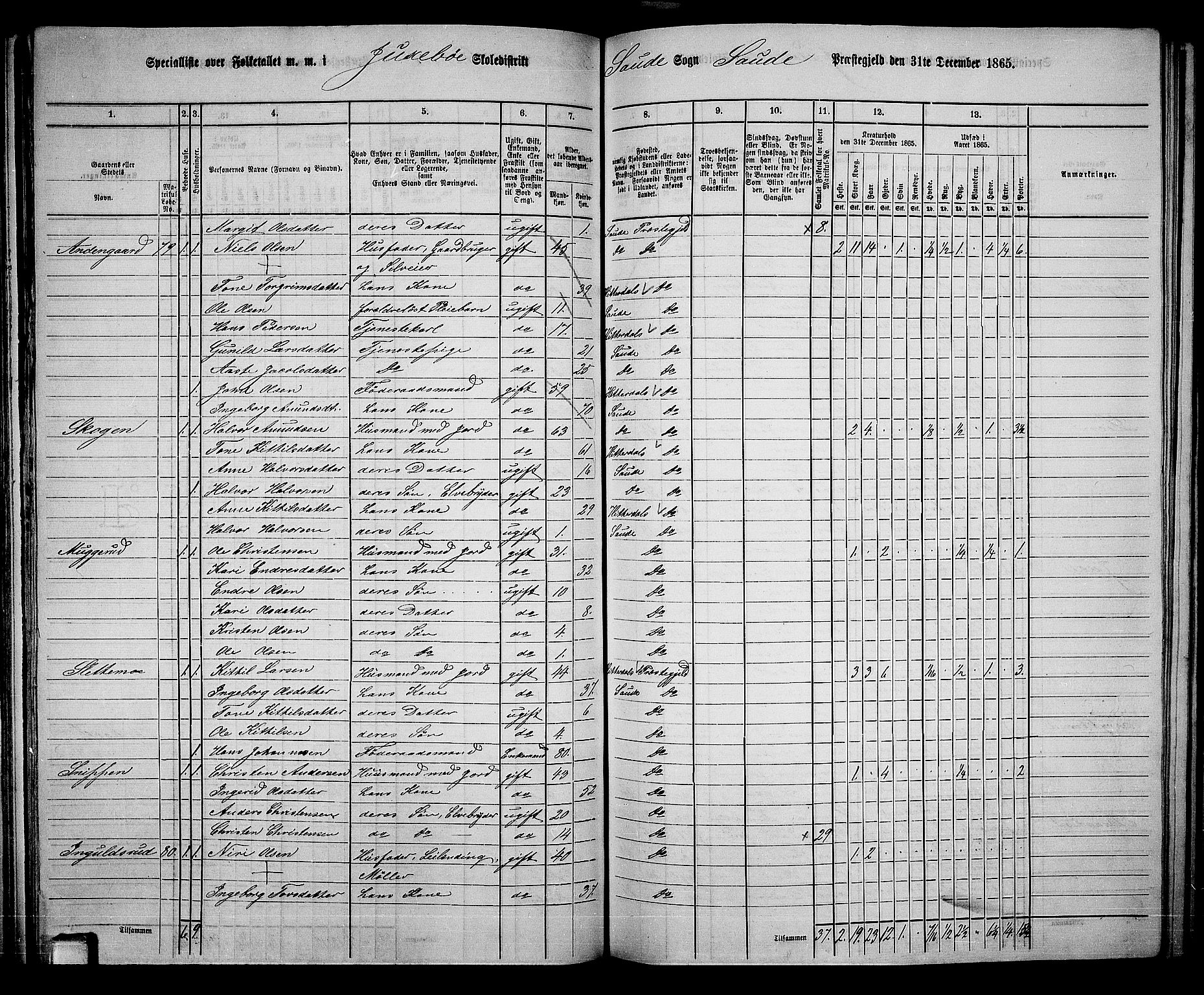 RA, 1865 census for Sauherad, 1865, p. 71