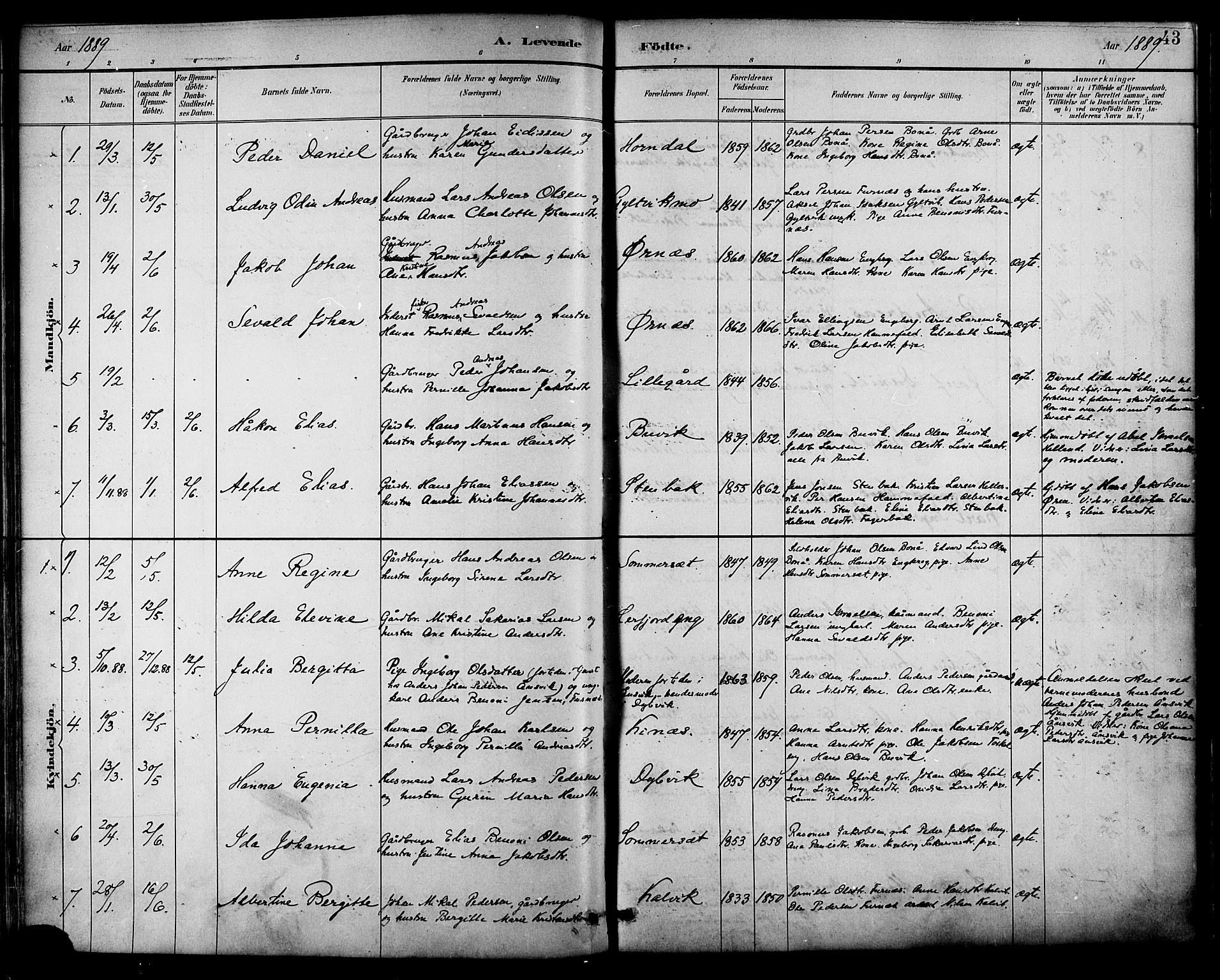 Ministerialprotokoller, klokkerbøker og fødselsregistre - Nordland, SAT/A-1459/854/L0777: Parish register (official) no. 854A01 /1, 1883-1891, p. 43