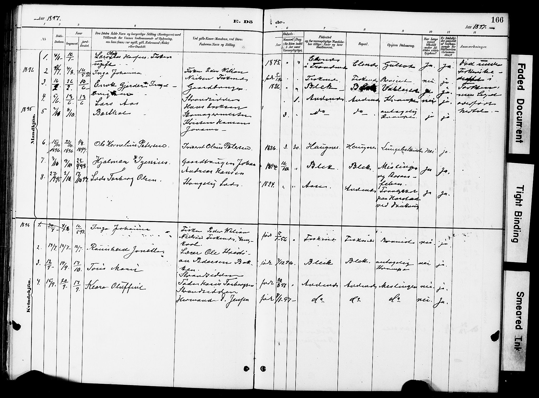 Ministerialprotokoller, klokkerbøker og fødselsregistre - Nordland, AV/SAT-A-1459/899/L1448: Parish register (copy) no. 899C03, 1887-1902, p. 166