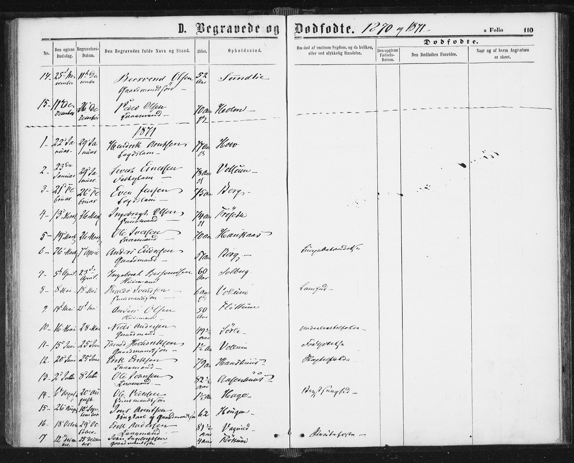 Ministerialprotokoller, klokkerbøker og fødselsregistre - Sør-Trøndelag, AV/SAT-A-1456/689/L1039: Parish register (official) no. 689A04, 1865-1878, p. 110