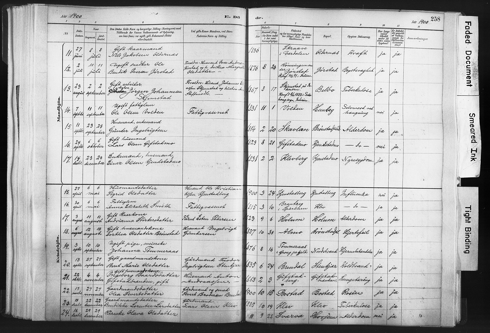 Ministerialprotokoller, klokkerbøker og fødselsregistre - Nord-Trøndelag, SAT/A-1458/749/L0474: Parish register (official) no. 749A08, 1887-1903, p. 258