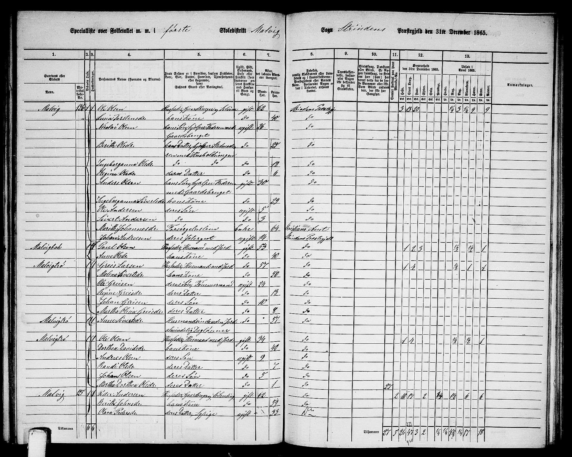 RA, 1865 census for Strinda, 1865, p. 201