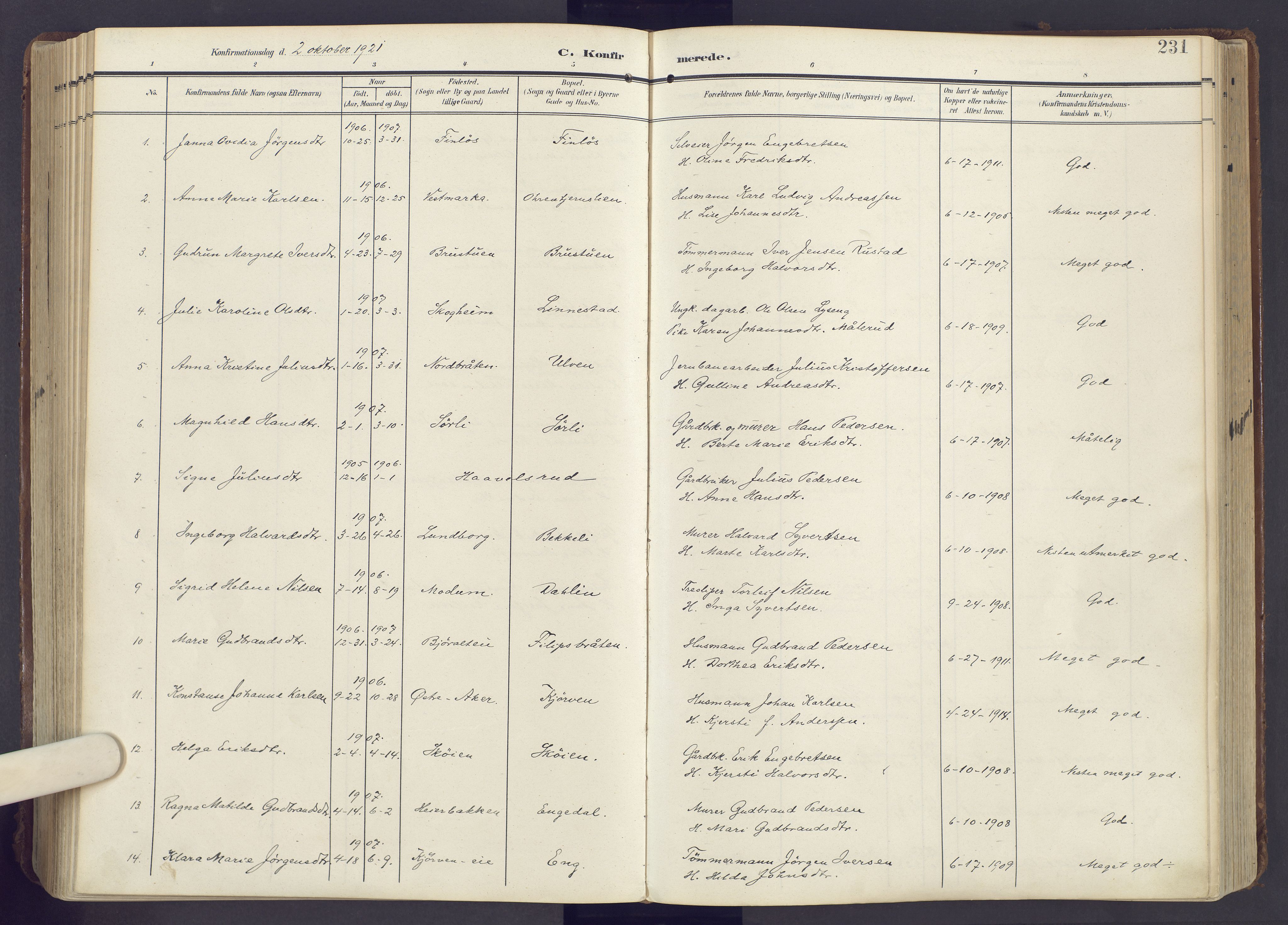 Lunner prestekontor, AV/SAH-PREST-118/H/Ha/Haa/L0001: Parish register (official) no. 1, 1907-1922, p. 231