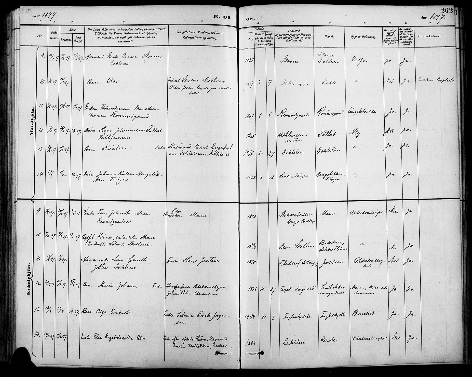 Sel prestekontor, AV/SAH-PREST-074/H/Ha/Hab/L0001: Parish register (copy) no. 1, 1894-1923, p. 262