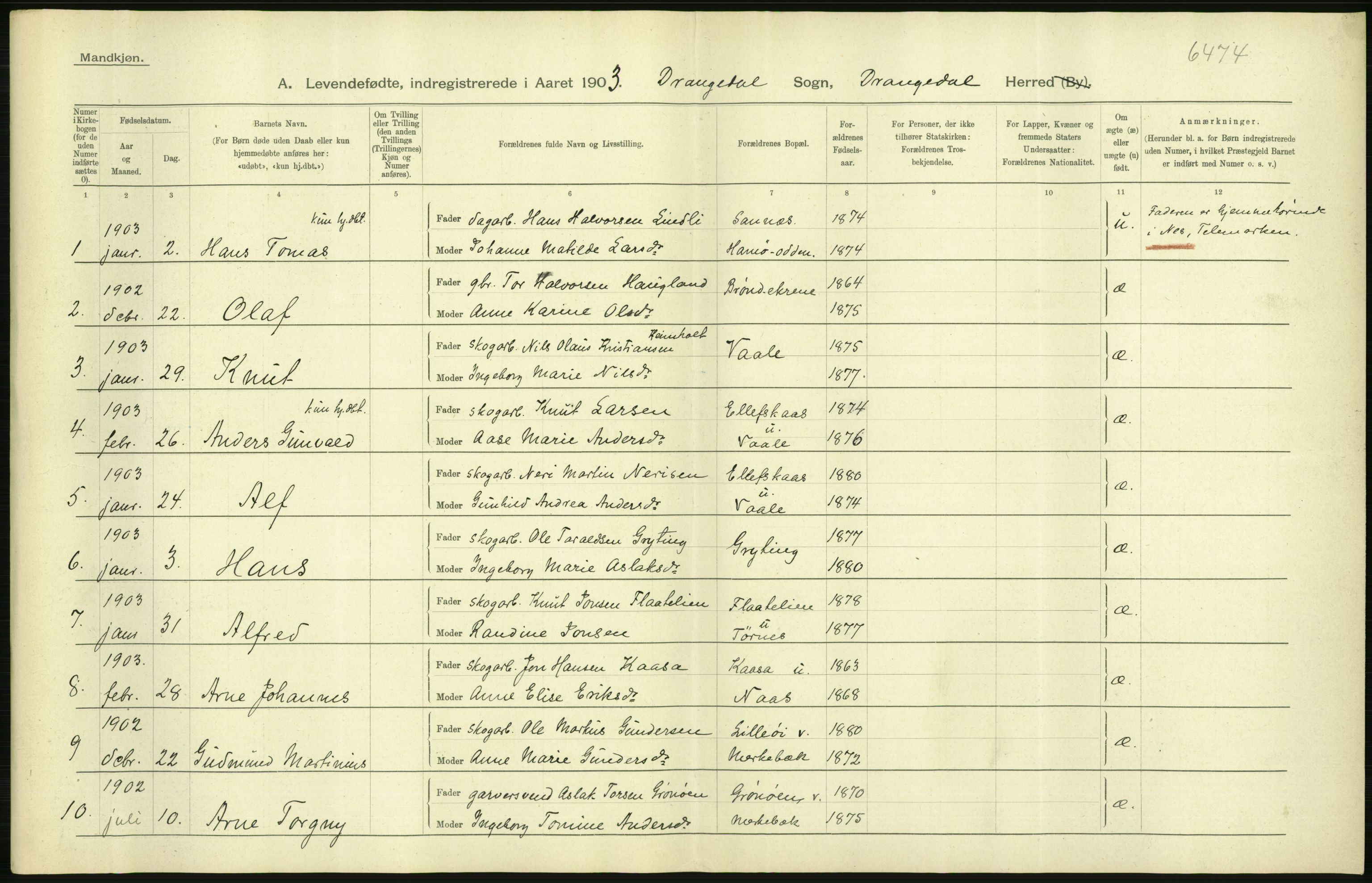 Statistisk sentralbyrå, Sosiodemografiske emner, Befolkning, AV/RA-S-2228/D/Df/Dfa/Dfaa/L0009: Bratsberg amt: Fødte, gifte, døde, 1903, p. 266