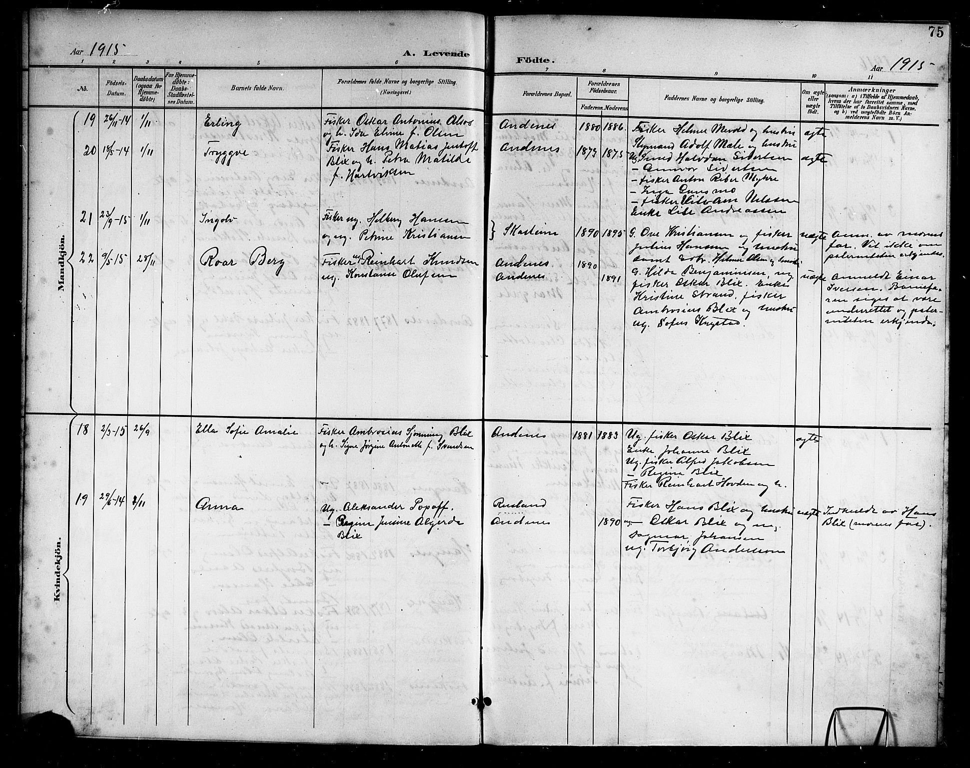 Ministerialprotokoller, klokkerbøker og fødselsregistre - Nordland, SAT/A-1459/899/L1449: Parish register (copy) no. 899C04, 1900-1918, p. 75