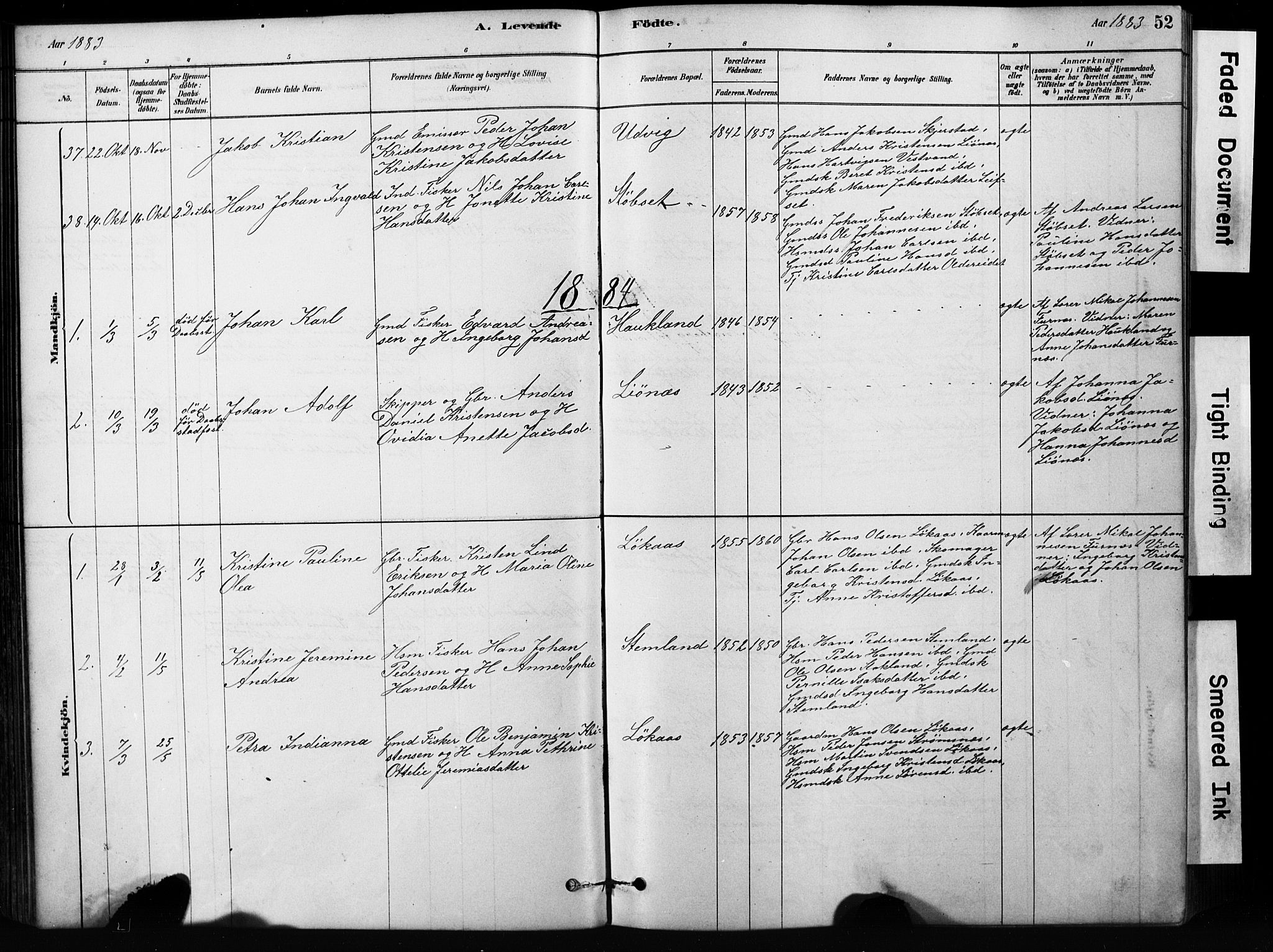 Ministerialprotokoller, klokkerbøker og fødselsregistre - Nordland, AV/SAT-A-1459/852/L0754: Parish register (copy) no. 852C05, 1878-1894, p. 52