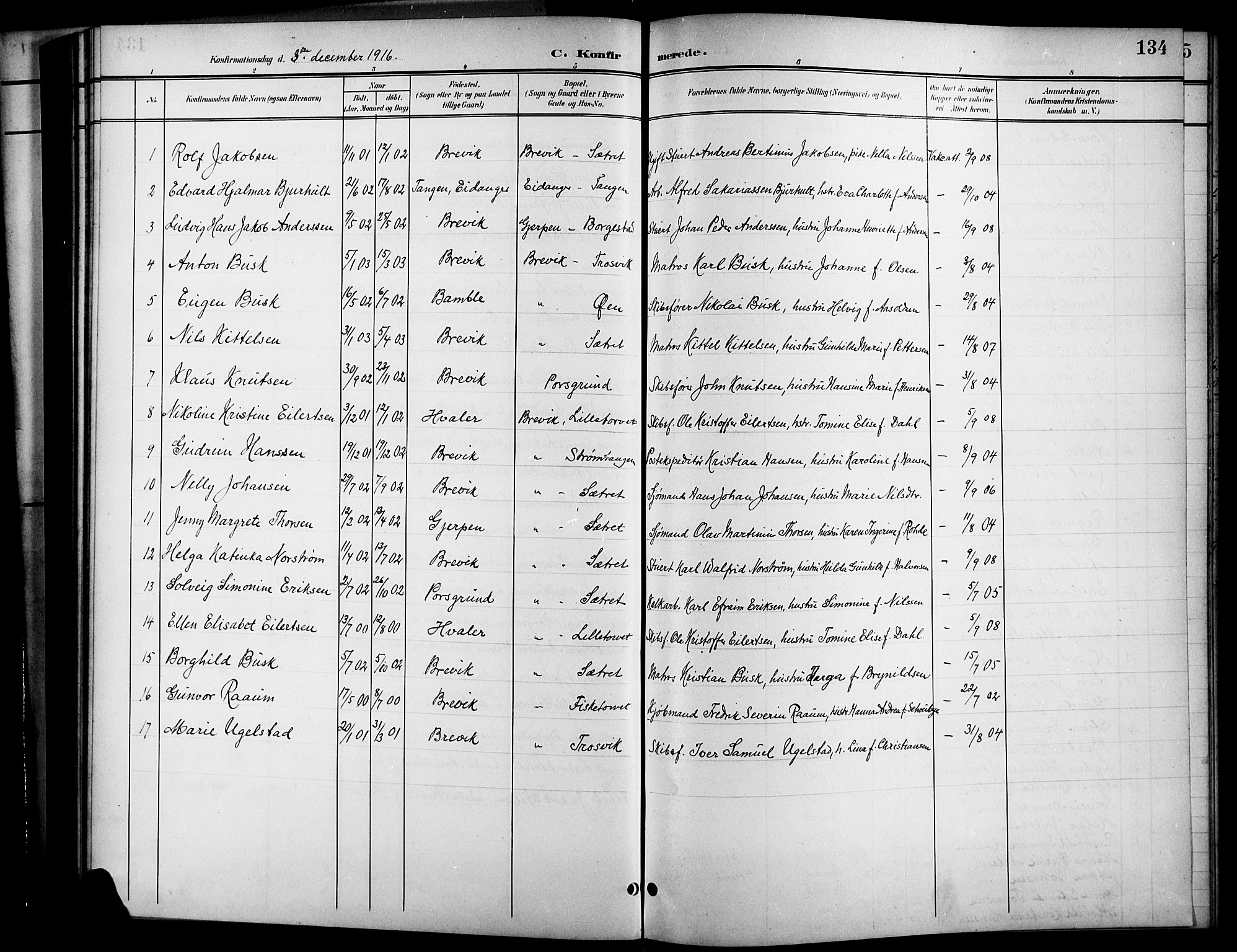 Brevik kirkebøker, SAKO/A-255/G/Ga/L0005: Parish register (copy) no. 5, 1901-1924, p. 134