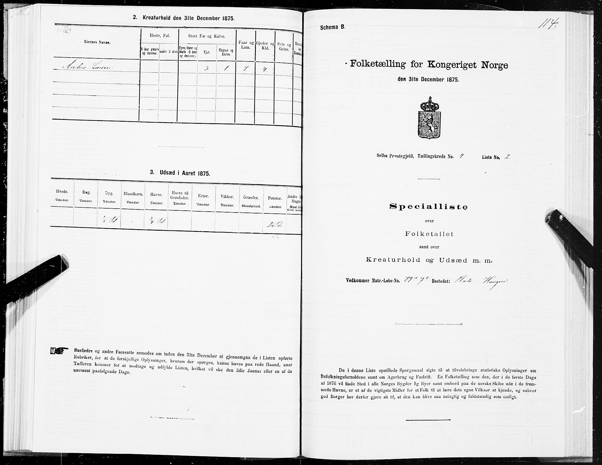 SAT, 1875 census for 1664P Selbu, 1875, p. 2114