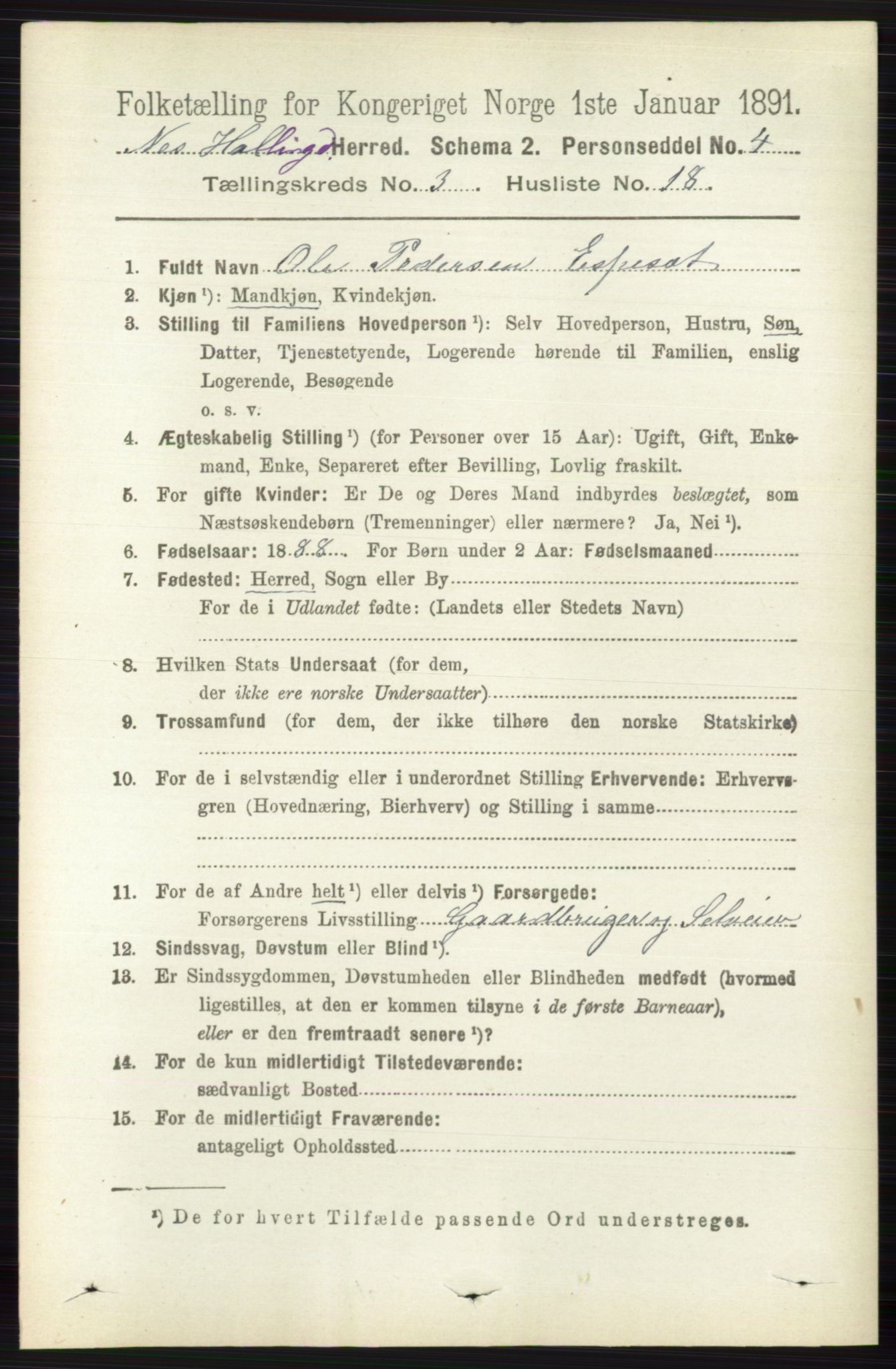 RA, 1891 census for 0616 Nes, 1891, p. 1606