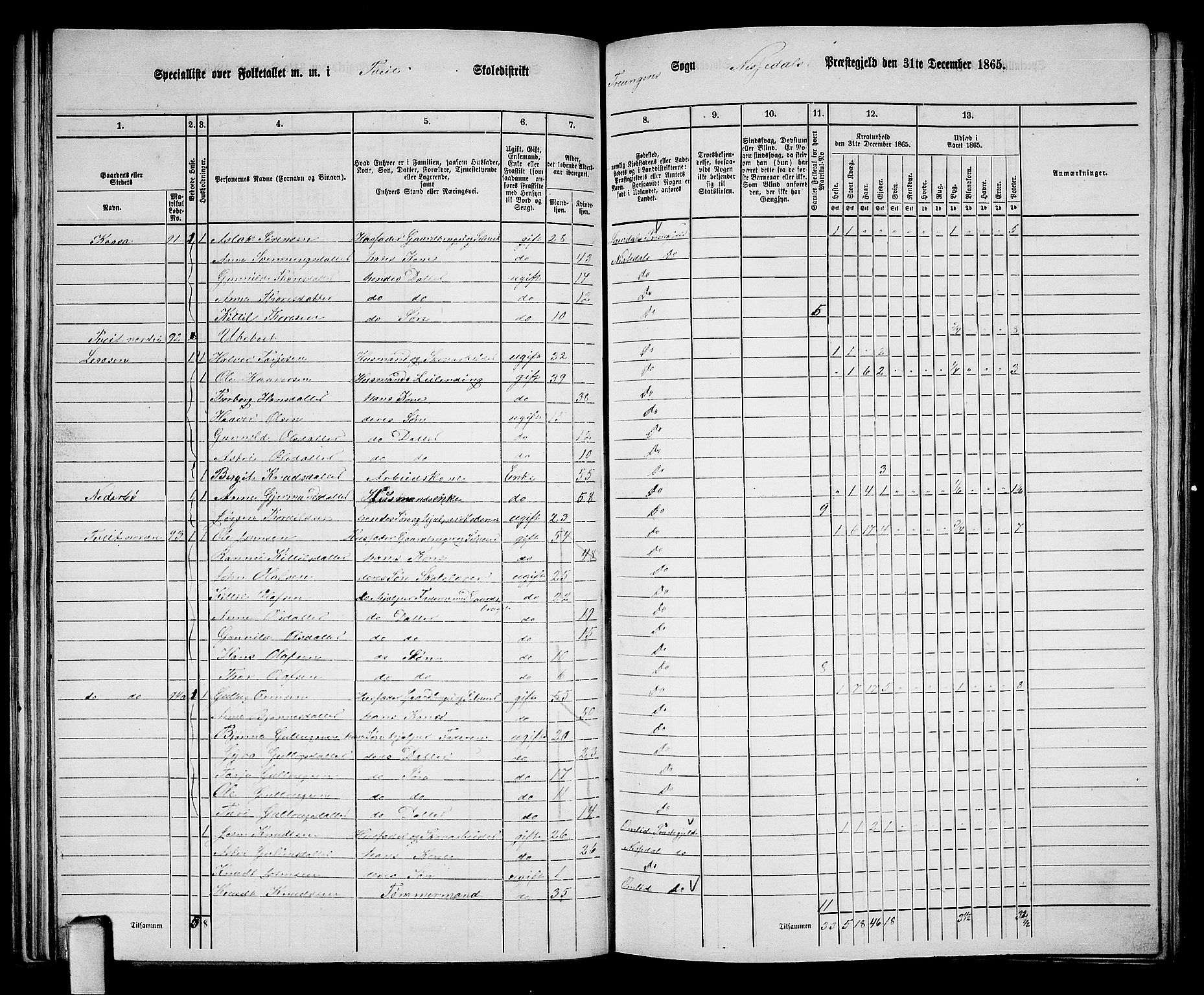 RA, 1865 census for Nissedal, 1865, p. 63