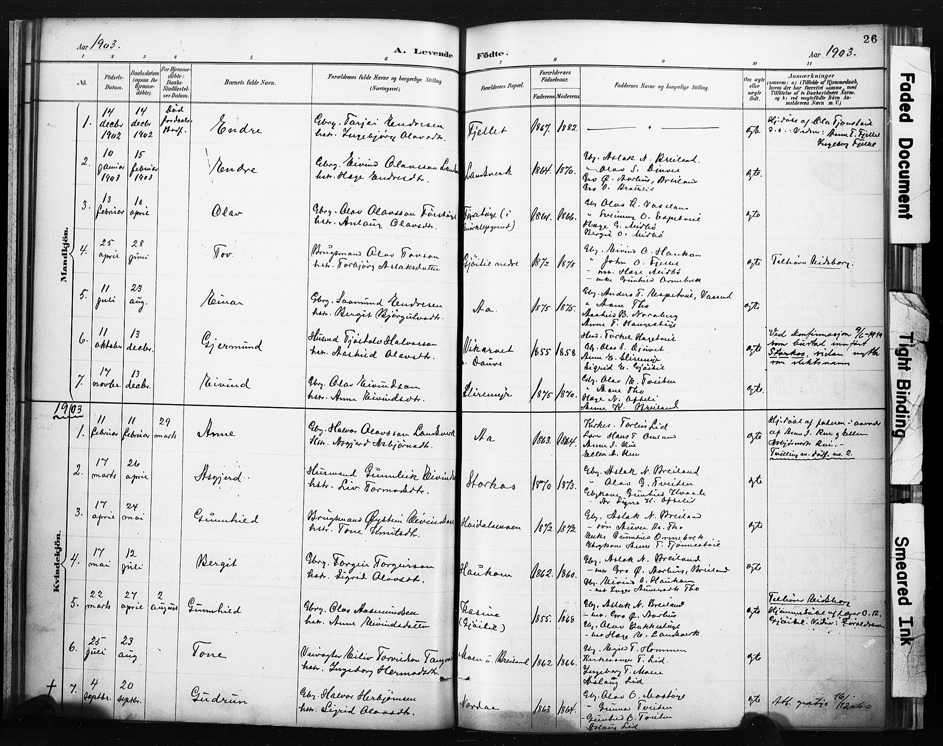 Lårdal kirkebøker, SAKO/A-284/F/Fc/L0002: Parish register (official) no. III 2, 1887-1906, p. 26