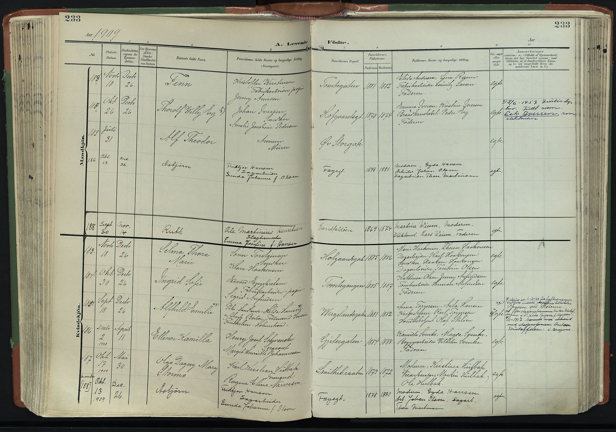 Bragernes kirkebøker, AV/SAKO-A-6/F/Fb/L0009: Parish register (official) no. II 9, 1902-1911, p. 233