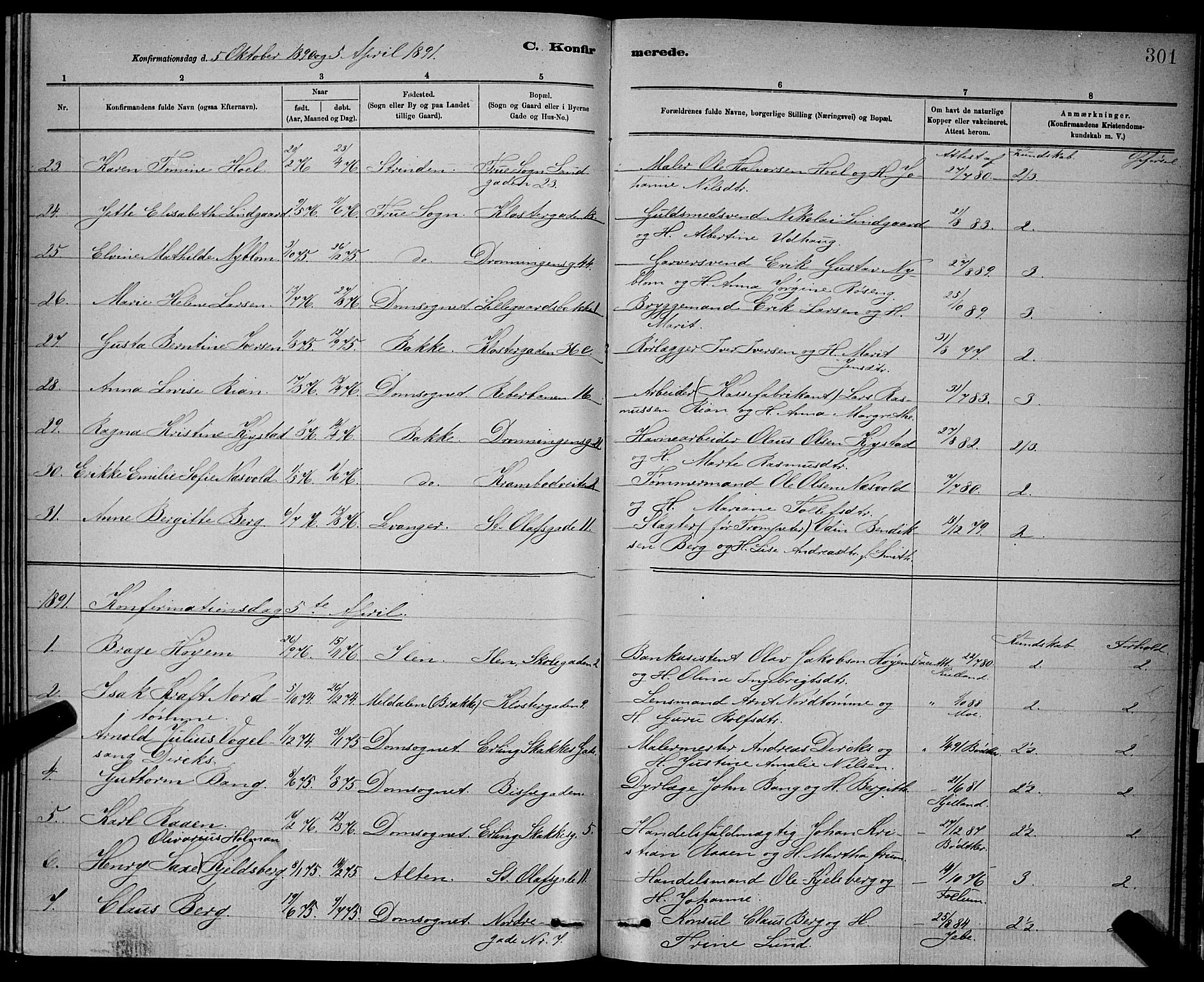 Ministerialprotokoller, klokkerbøker og fødselsregistre - Sør-Trøndelag, SAT/A-1456/601/L0092: Parish register (copy) no. 601C10, 1884-1897, p. 301