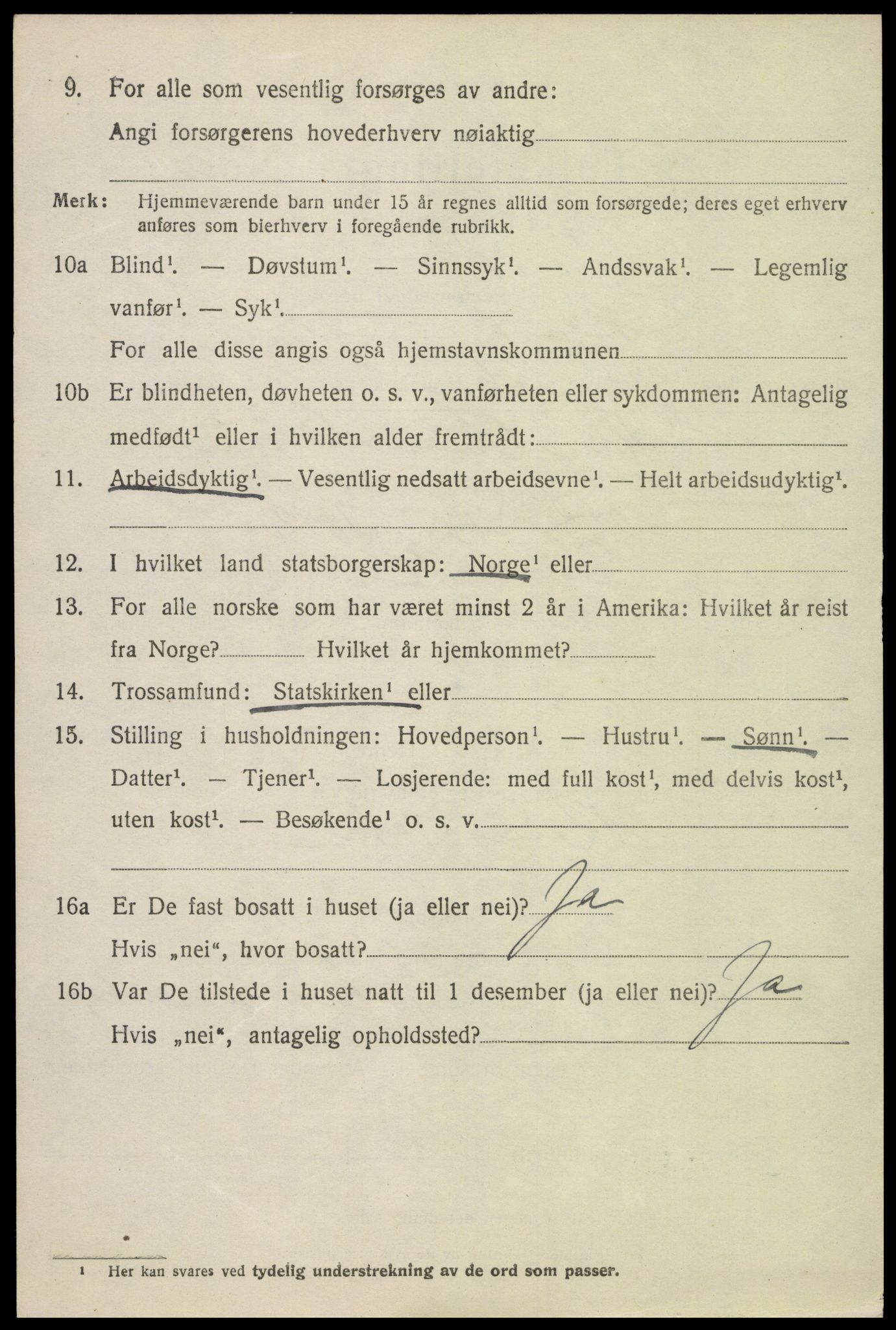 SAH, 1920 census for Skjåk, 1920, p. 4557