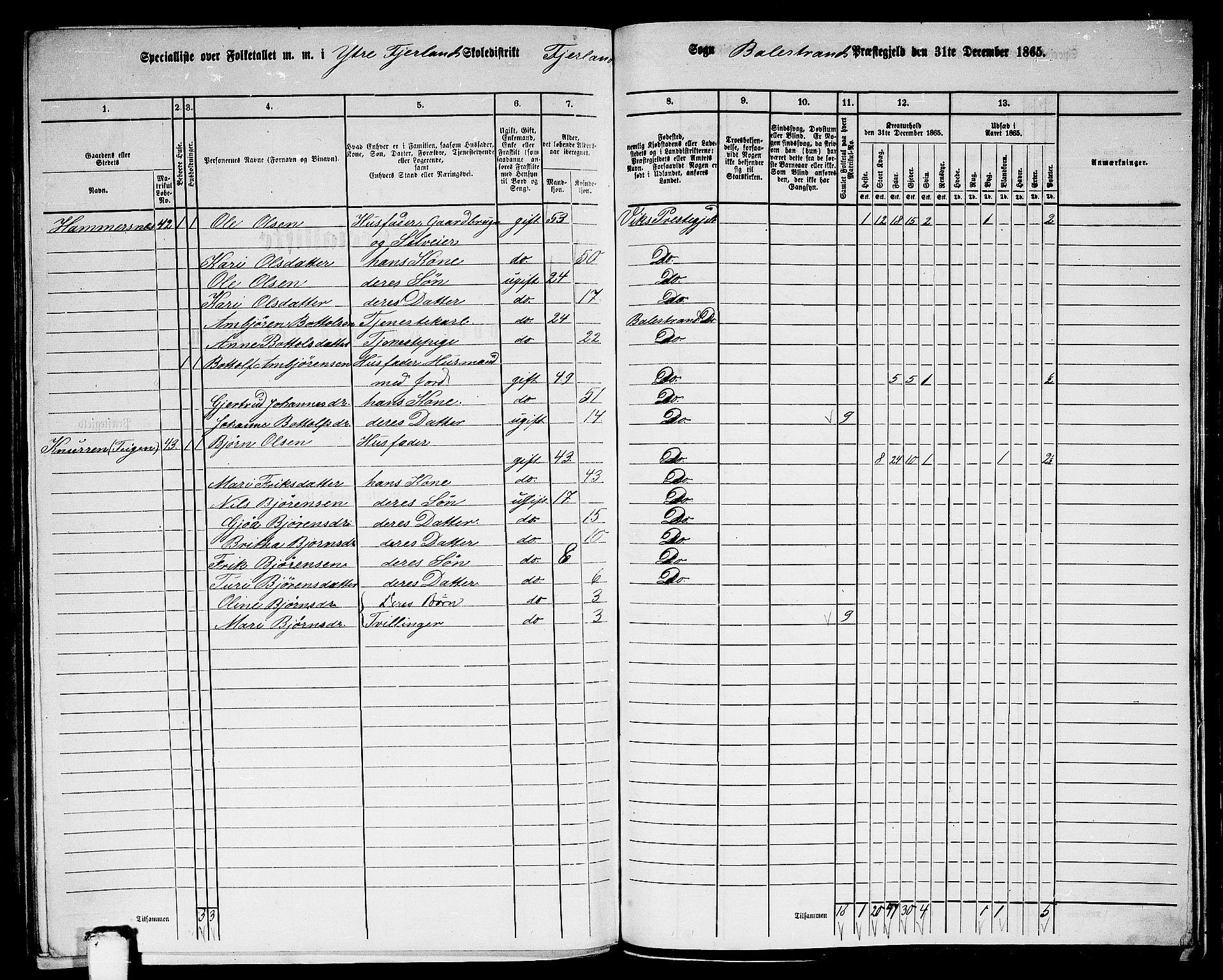 RA, 1865 census for Balestrand, 1865, p. 54