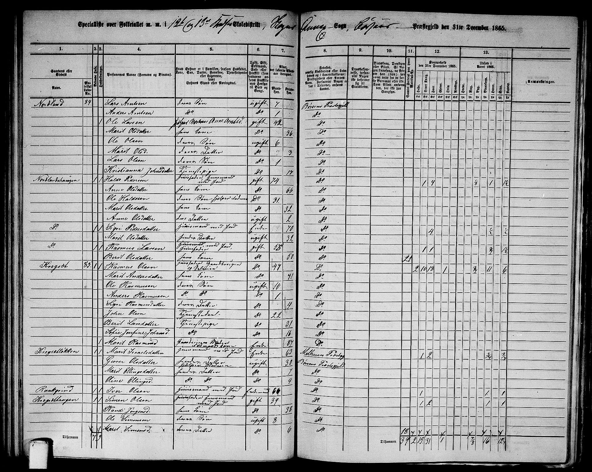 RA, 1865 census for Børsa, 1865, p. 143