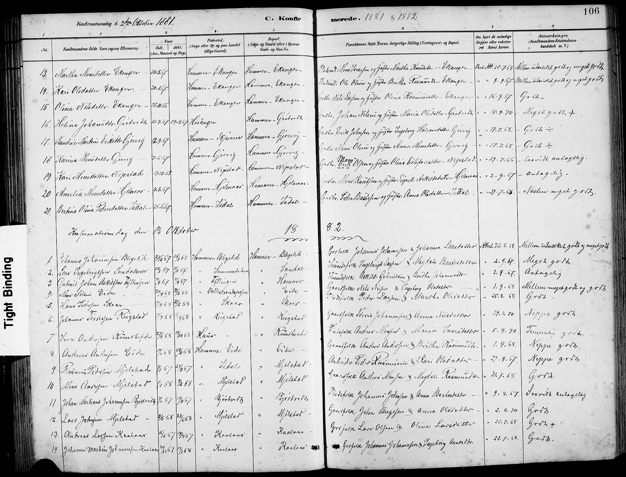 Hamre sokneprestembete, SAB/A-75501/H/Ha/Hab: Parish register (copy) no. B 3, 1881-1898, p. 106