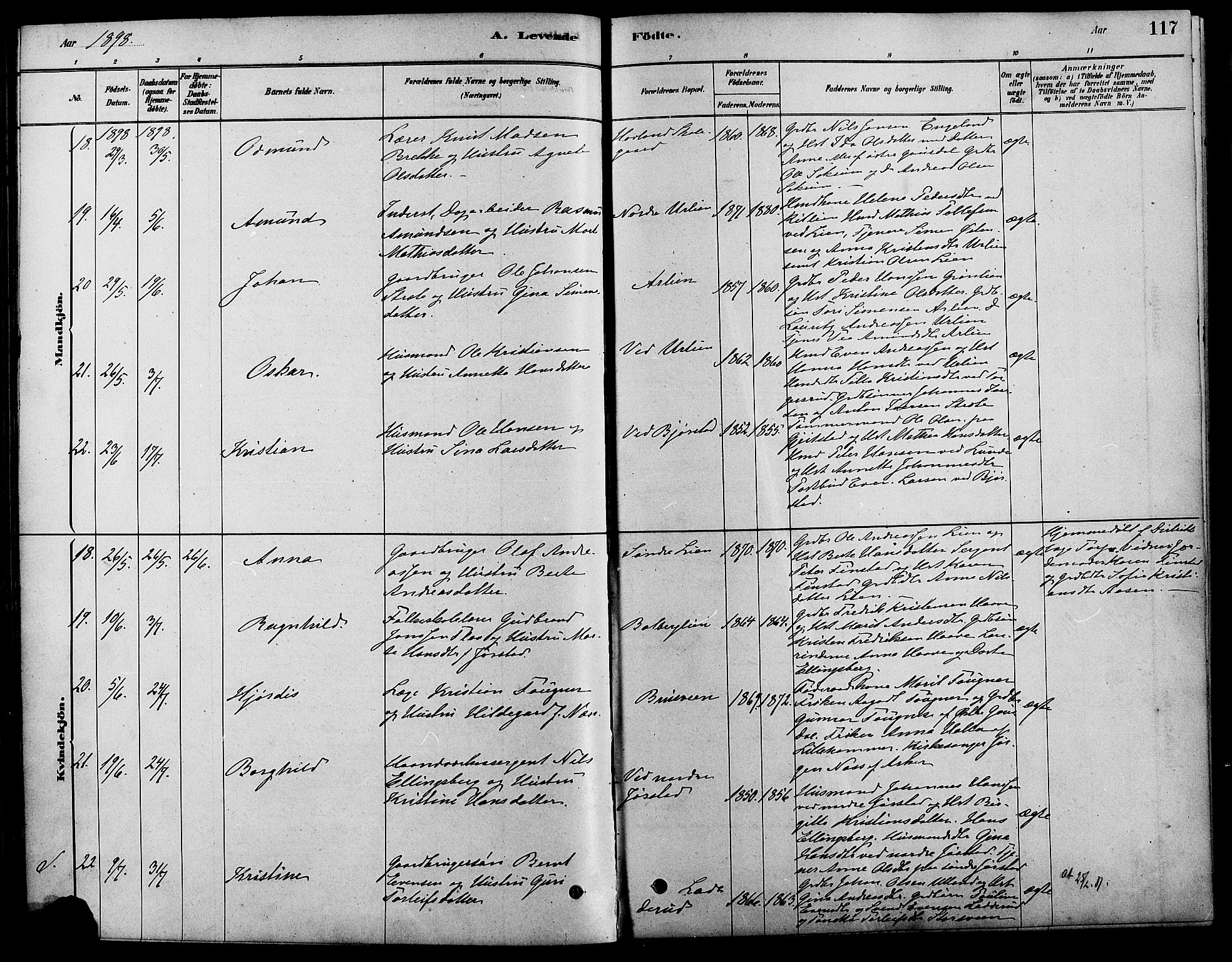 Fåberg prestekontor, SAH/PREST-086/H/Ha/Haa/L0008: Parish register (official) no. 8, 1879-1898, p. 117