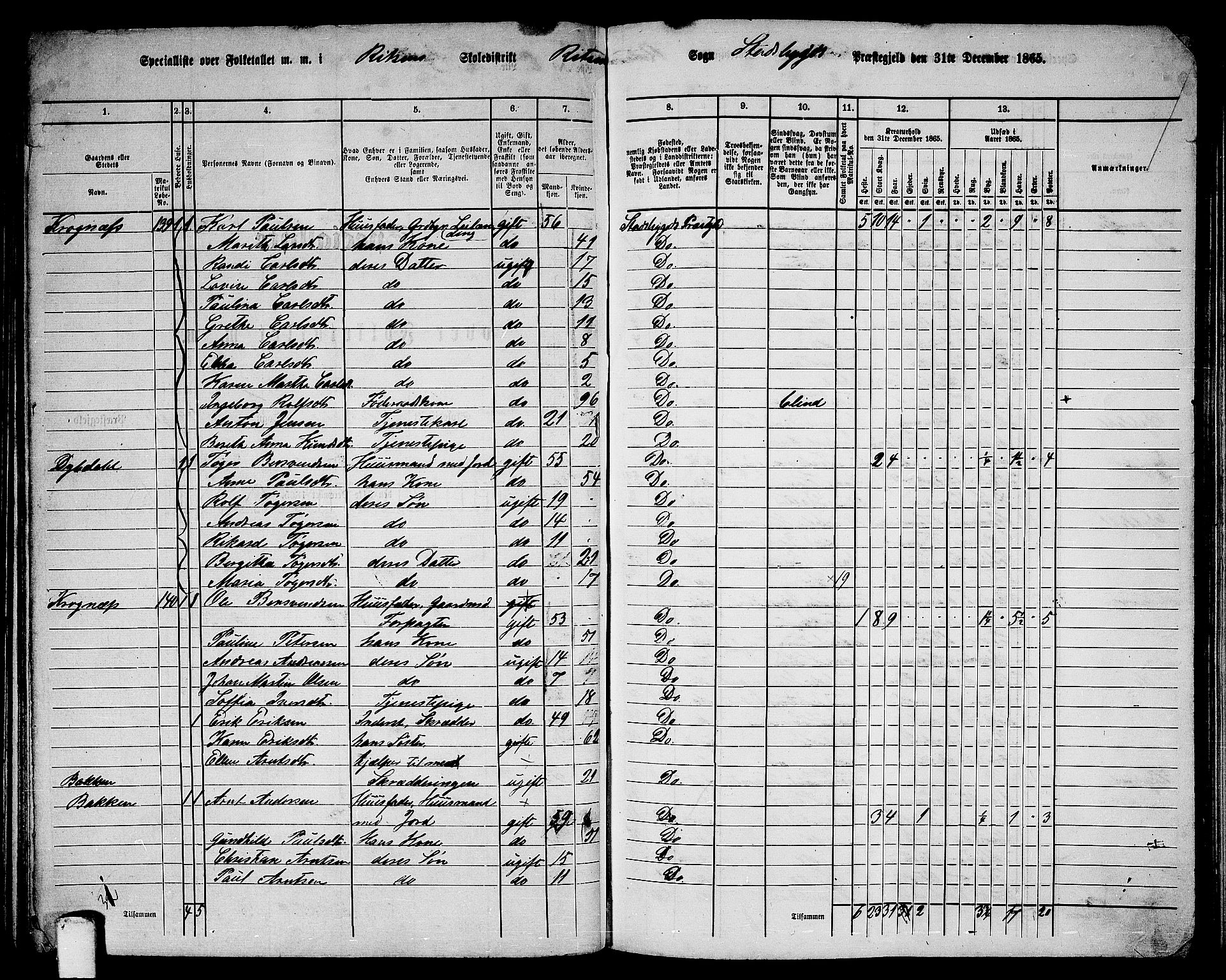 RA, 1865 census for Stadsbygd, 1865, p. 103