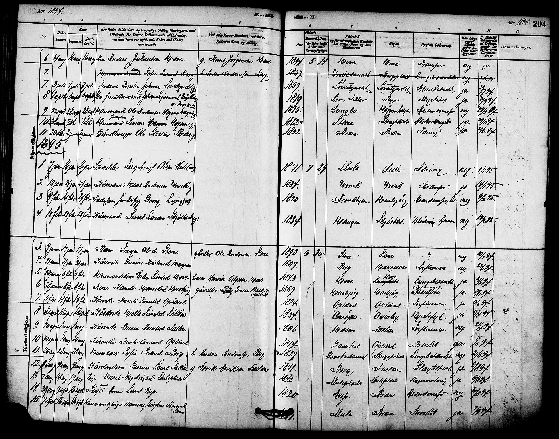 Ministerialprotokoller, klokkerbøker og fødselsregistre - Sør-Trøndelag, AV/SAT-A-1456/612/L0378: Parish register (official) no. 612A10, 1878-1897, p. 204