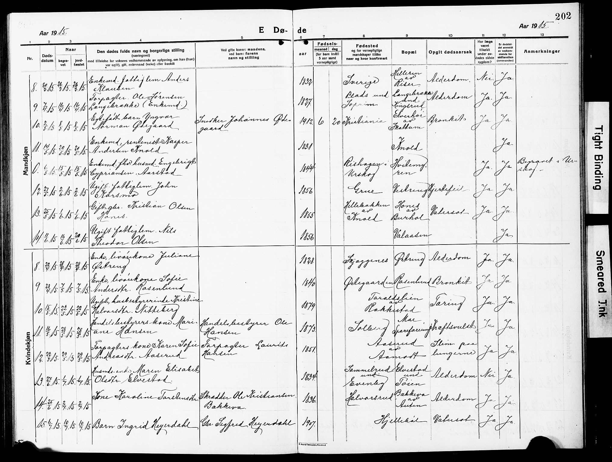 Høland prestekontor Kirkebøker, AV/SAO-A-10346a/G/Ga/L0008: Parish register (copy) no. I 8, 1915-1929, p. 202