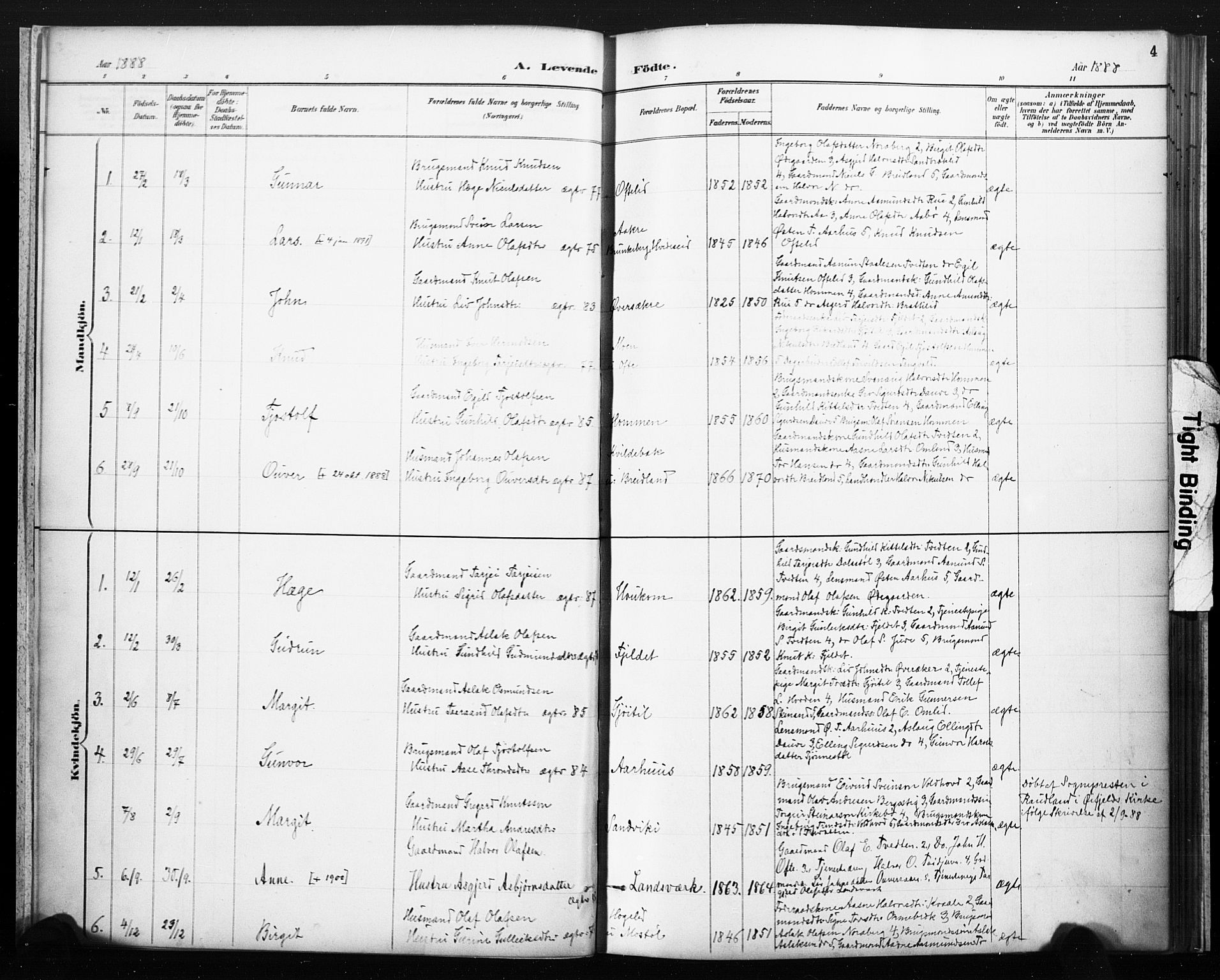 Lårdal kirkebøker, SAKO/A-284/F/Fc/L0002: Parish register (official) no. III 2, 1887-1906, p. 4