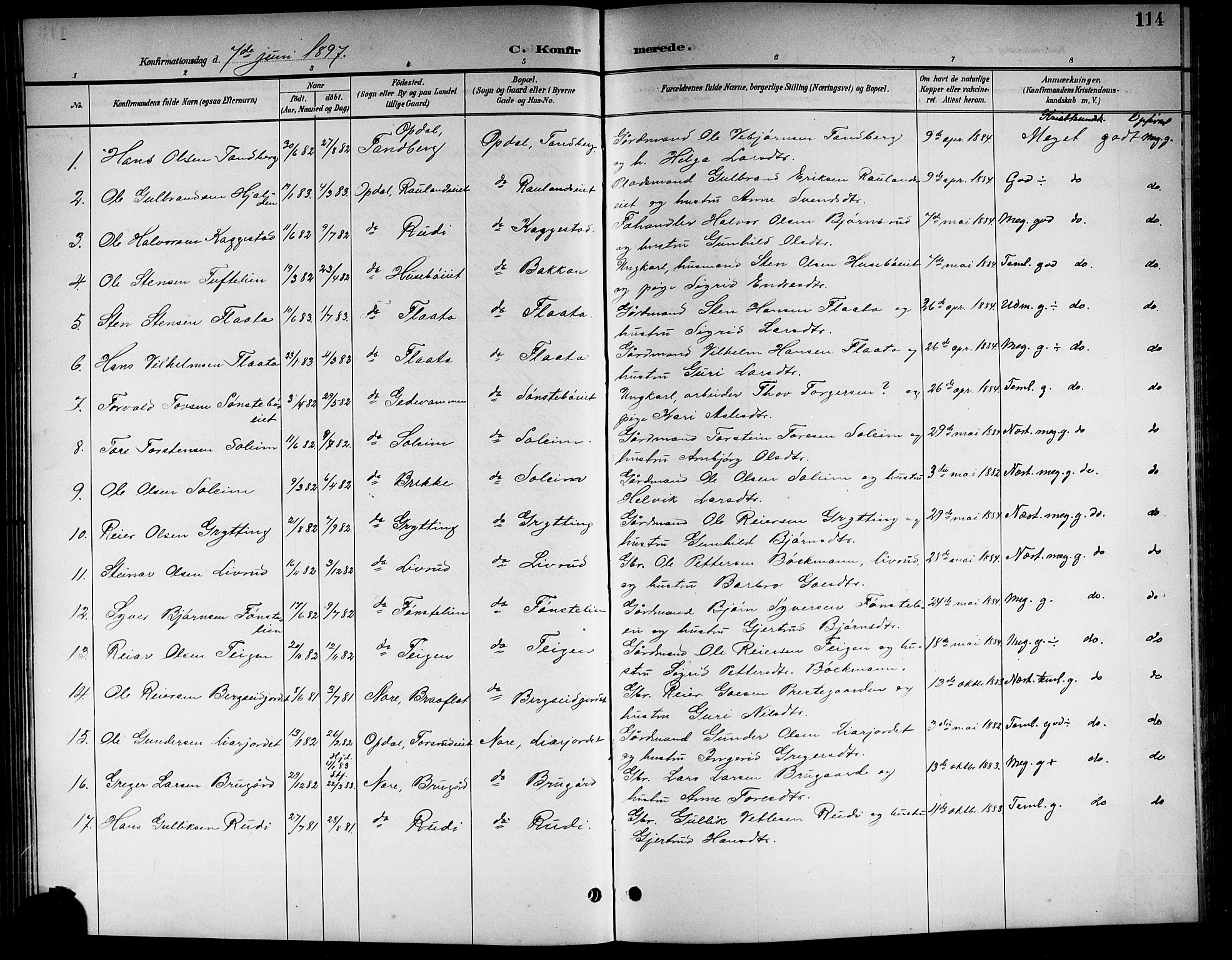 Nore kirkebøker, AV/SAKO-A-238/G/Gb/L0003: Parish register (copy) no. II 3, 1894-1923, p. 114