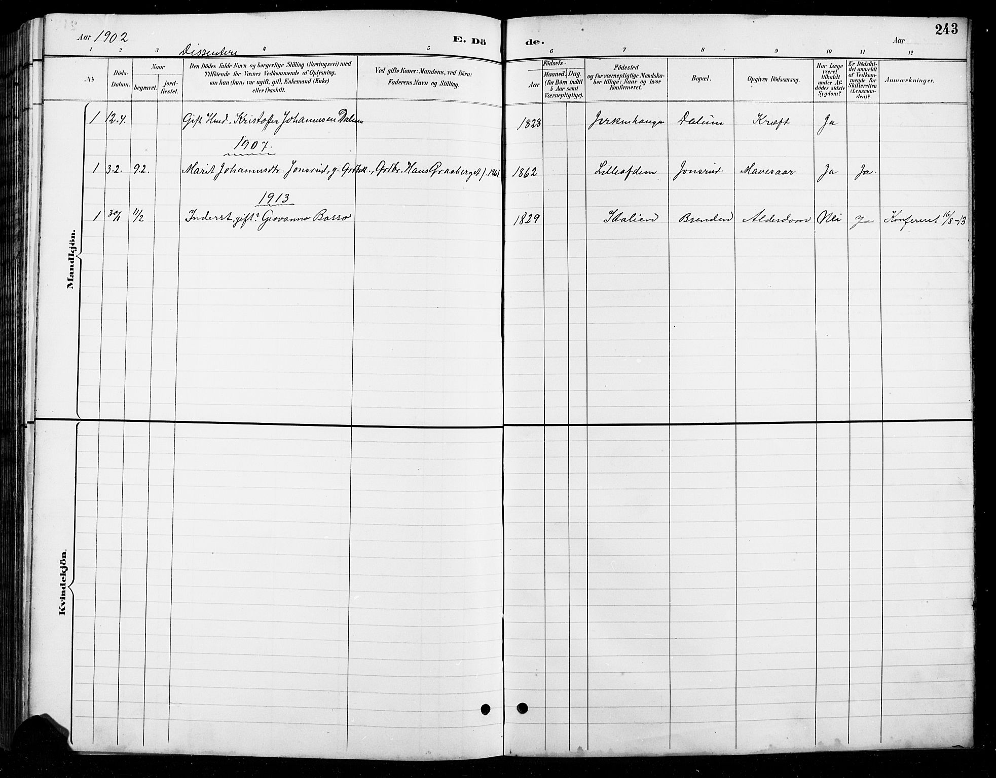 Lesja prestekontor, SAH/PREST-068/H/Ha/Hab/L0007: Parish register (copy) no. 7, 1895-1919, p. 243