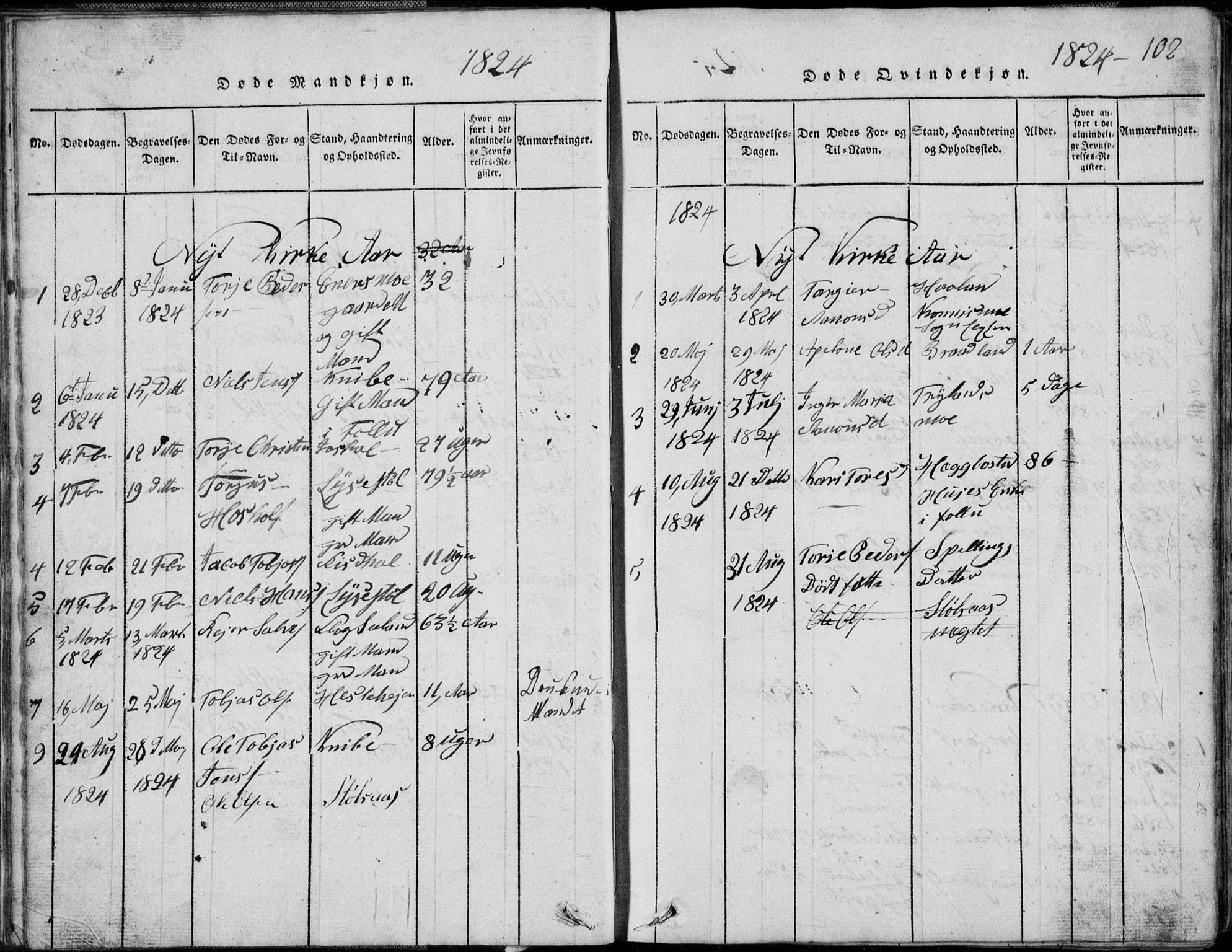 Nord-Audnedal sokneprestkontor, AV/SAK-1111-0032/F/Fb/Fbb/L0001: Parish register (copy) no. B 1, 1816-1858, p. 102