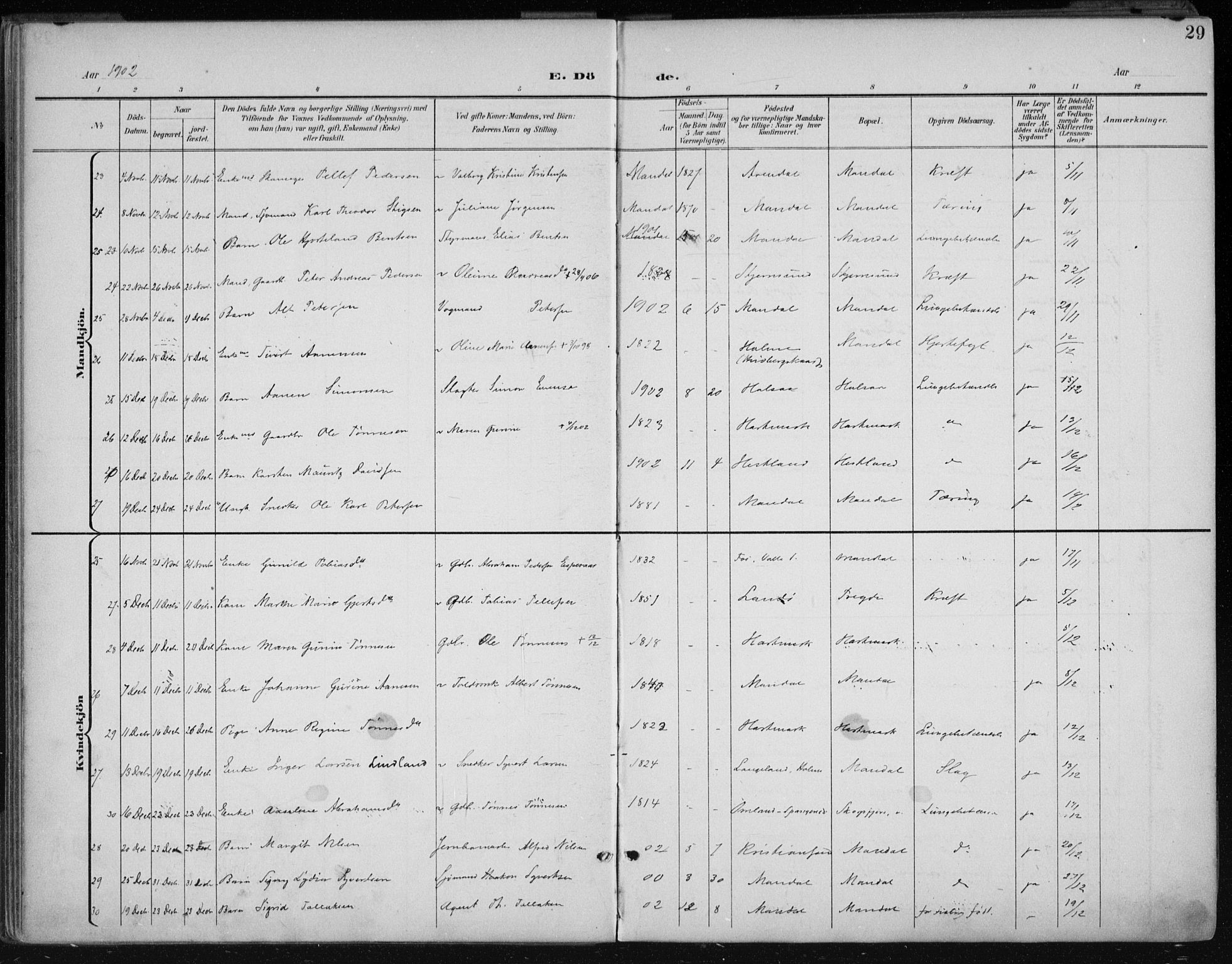 Mandal sokneprestkontor, SAK/1111-0030/F/Fa/Faa/L0021: Parish register (official) no. A 21, 1898-1913, p. 29