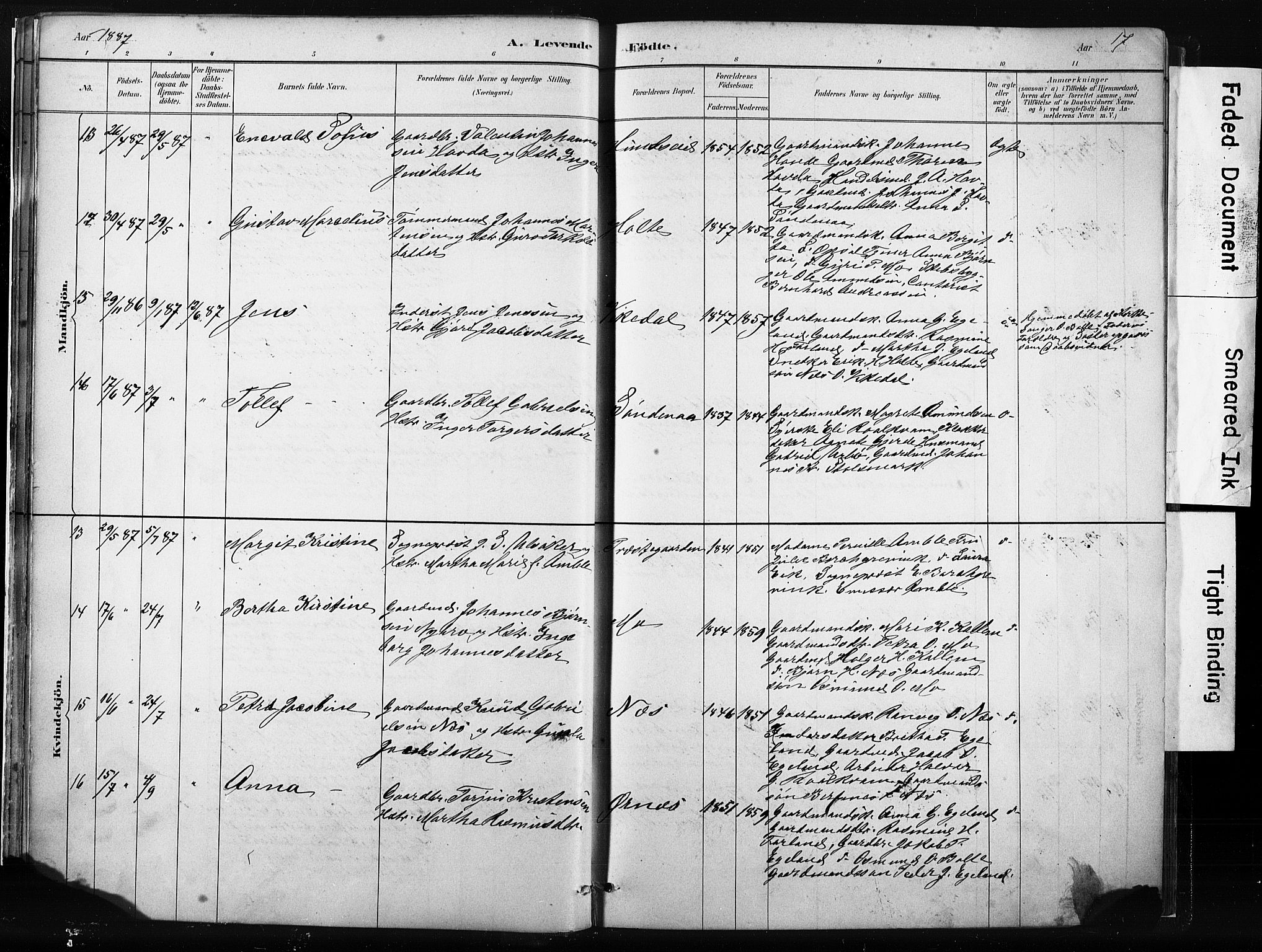 Vikedal sokneprestkontor, AV/SAST-A-101840/01/IV: Parish register (official) no. A 10, 1884-1907, p. 17