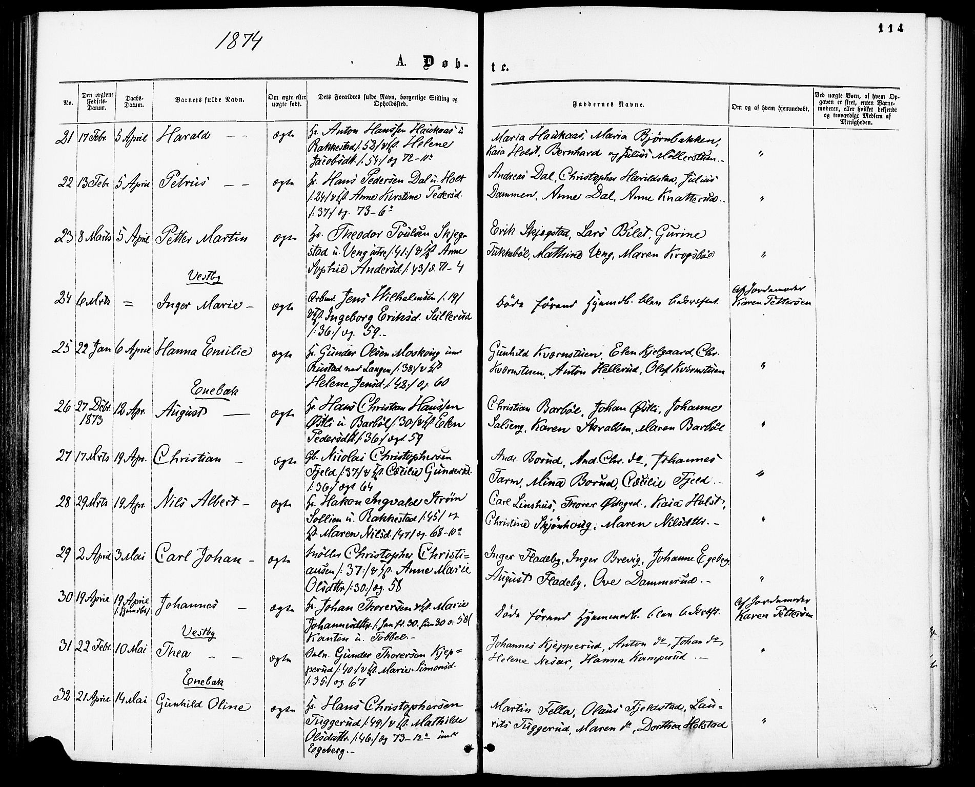 Enebakk prestekontor Kirkebøker, SAO/A-10171c/F/Fa/L0011: Parish register (official) no. I 11, 1862-1882, p. 114