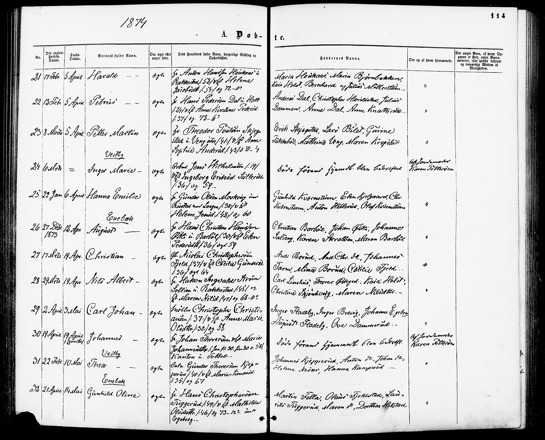 Enebakk prestekontor Kirkebøker, AV/SAO-A-10171c/F/Fa/L0011: Parish register (official) no. I 11, 1862-1882, p. 114