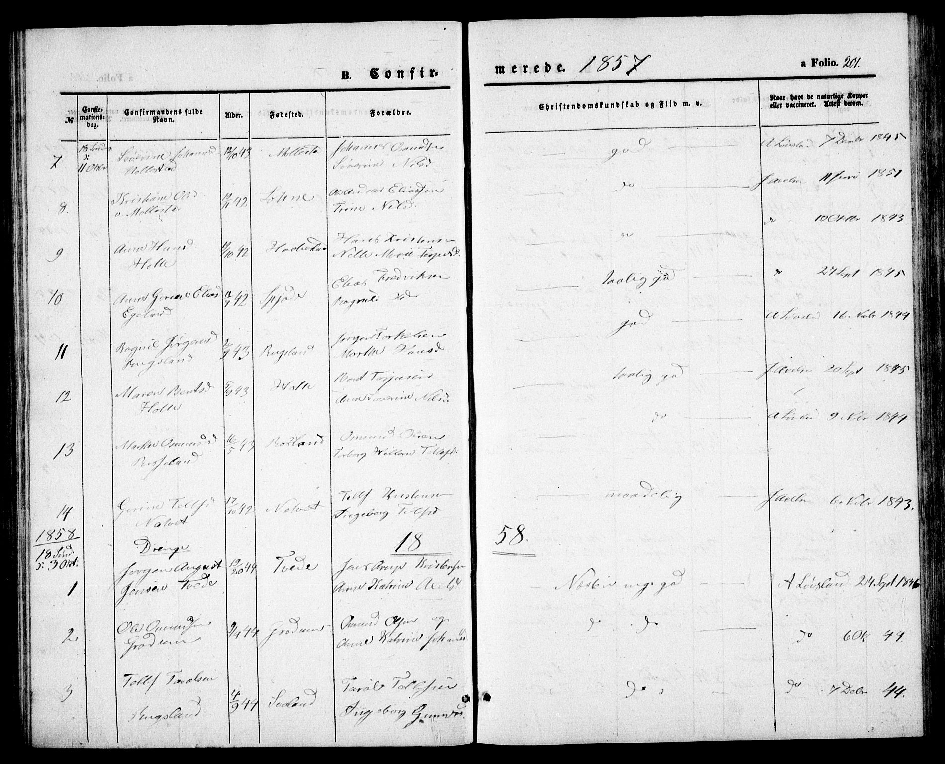 Birkenes sokneprestkontor, SAK/1111-0004/F/Fb/L0002: Parish register (copy) no. B 2, 1849-1876, p. 201