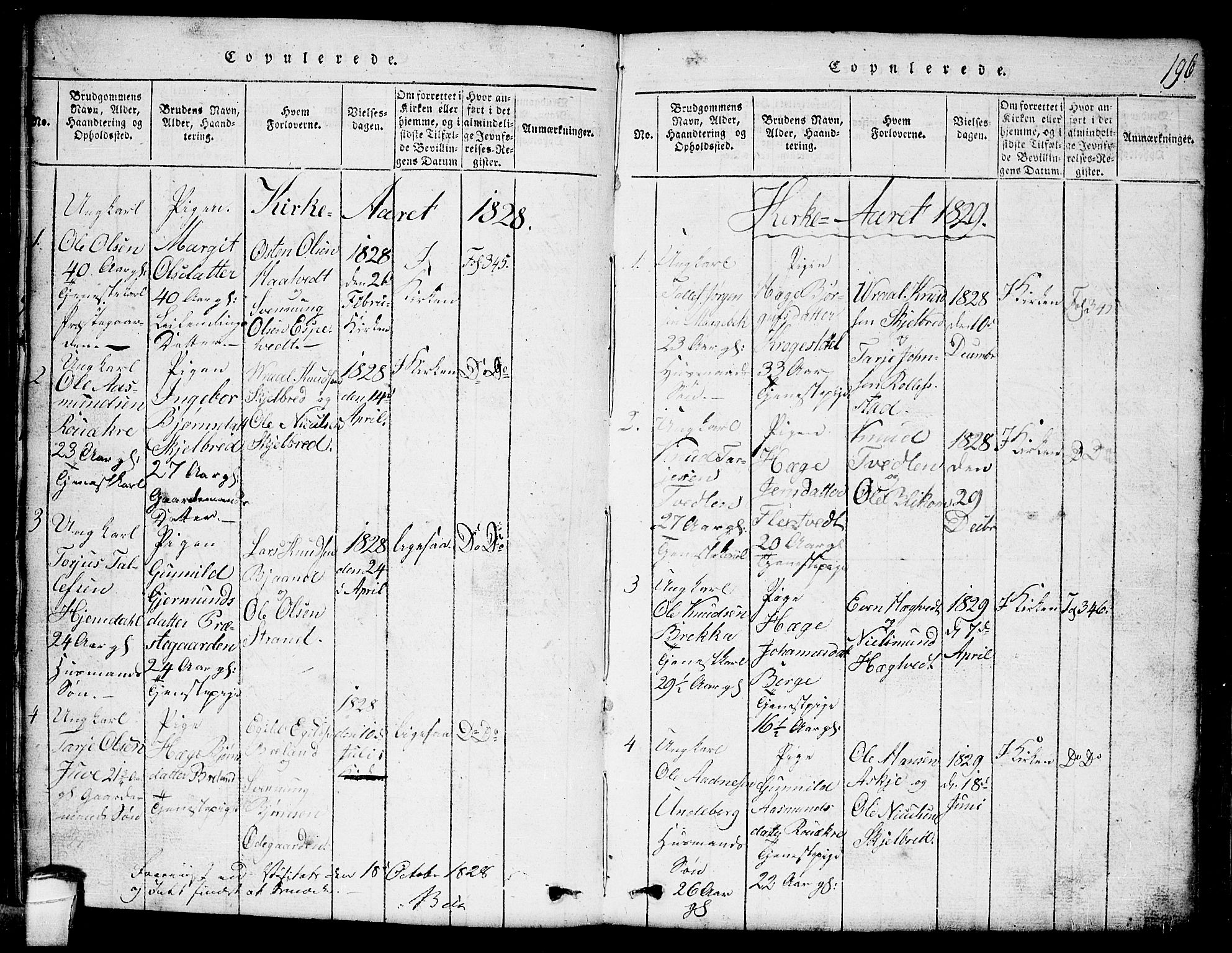 Lårdal kirkebøker, SAKO/A-284/G/Ga/L0001: Parish register (copy) no. I 1, 1815-1861, p. 196