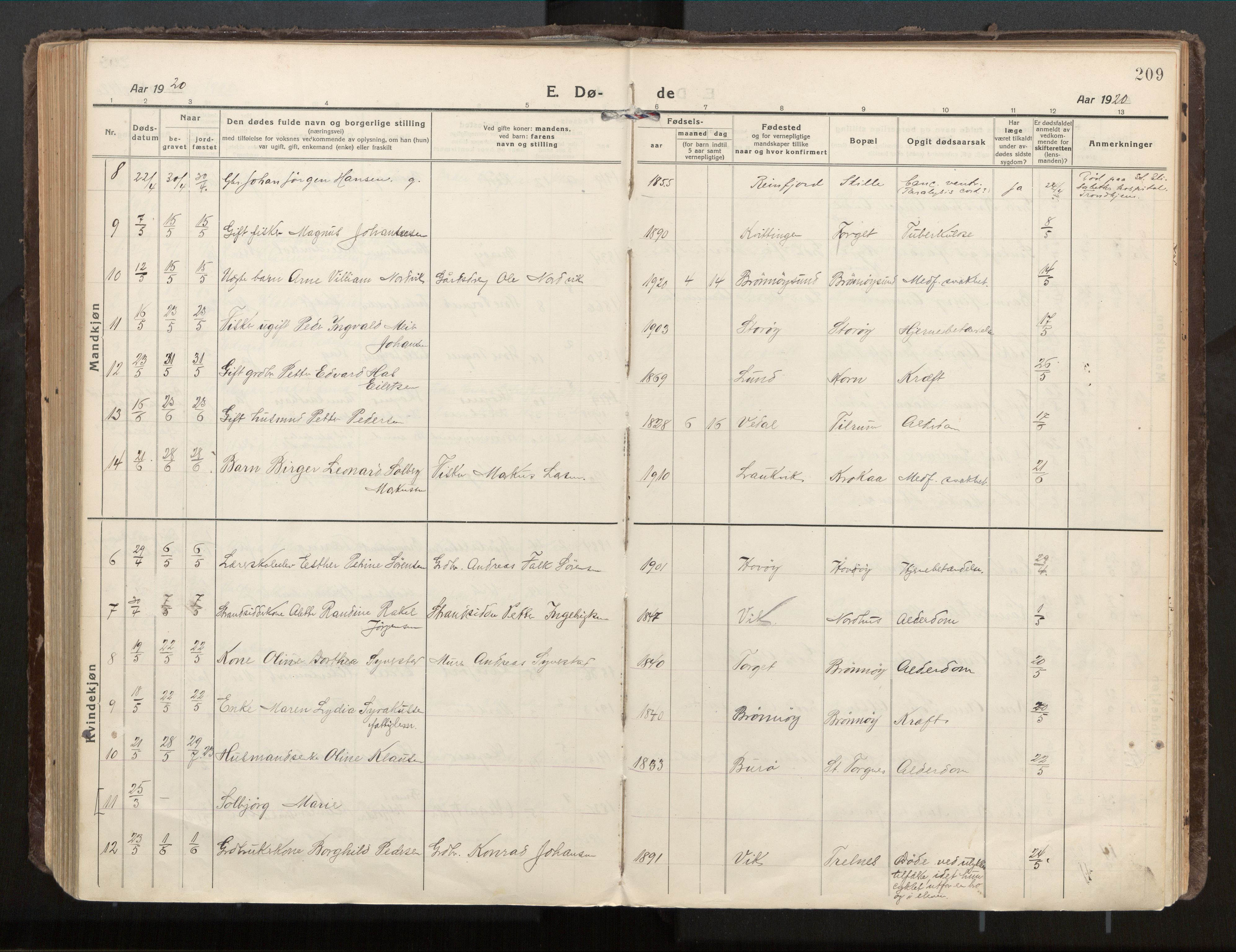 Ministerialprotokoller, klokkerbøker og fødselsregistre - Nordland, SAT/A-1459/813/L0207a: Parish register (official) no. 813A18, 1919-1927, p. 209