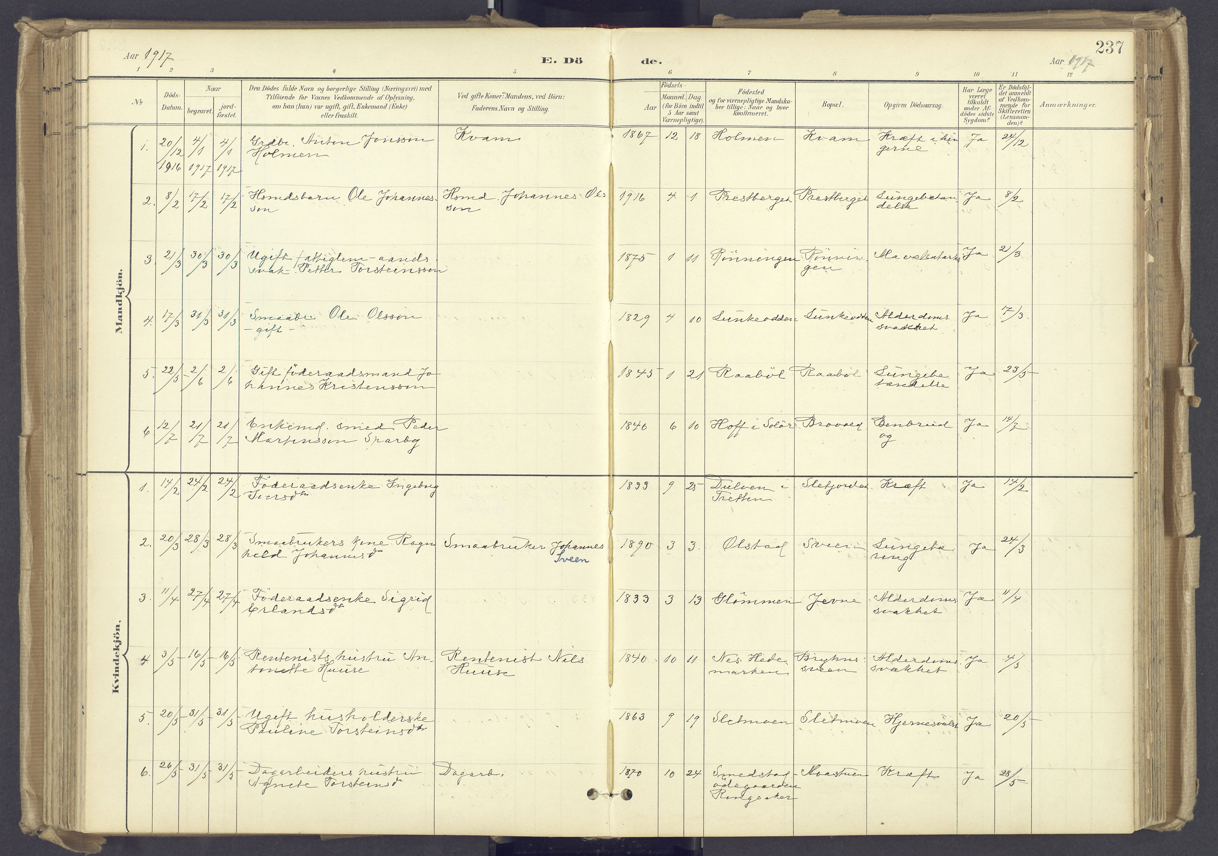 Øyer prestekontor, AV/SAH-PREST-084/H/Ha/Haa/L0012: Parish register (official) no. 12, 1897-1920, p. 237